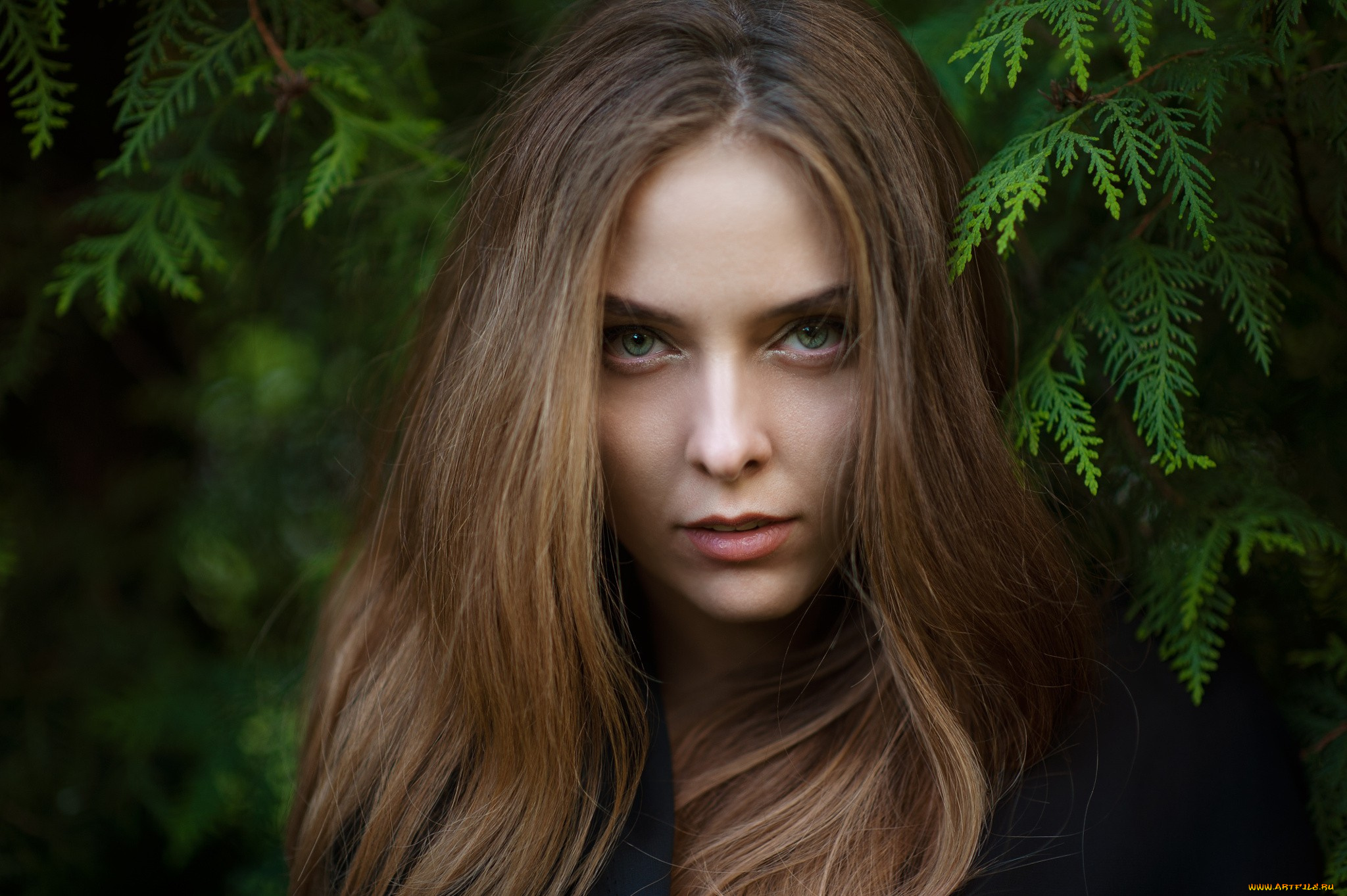 amina, katinova, девушки, модель, девушка, amina, katinova