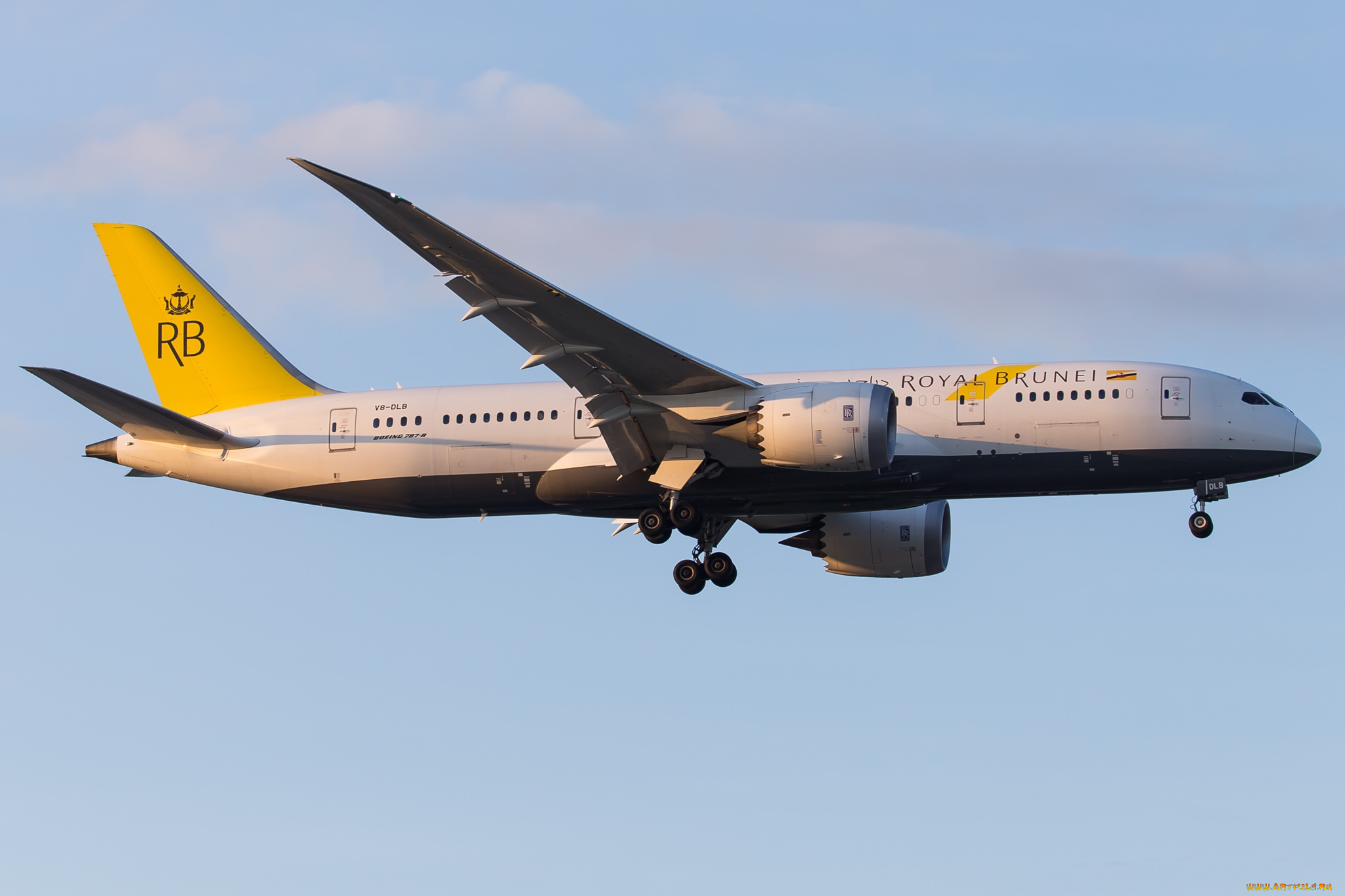 boeing, 787-8, авиация, пассажирские, самолёты, авиалайнер