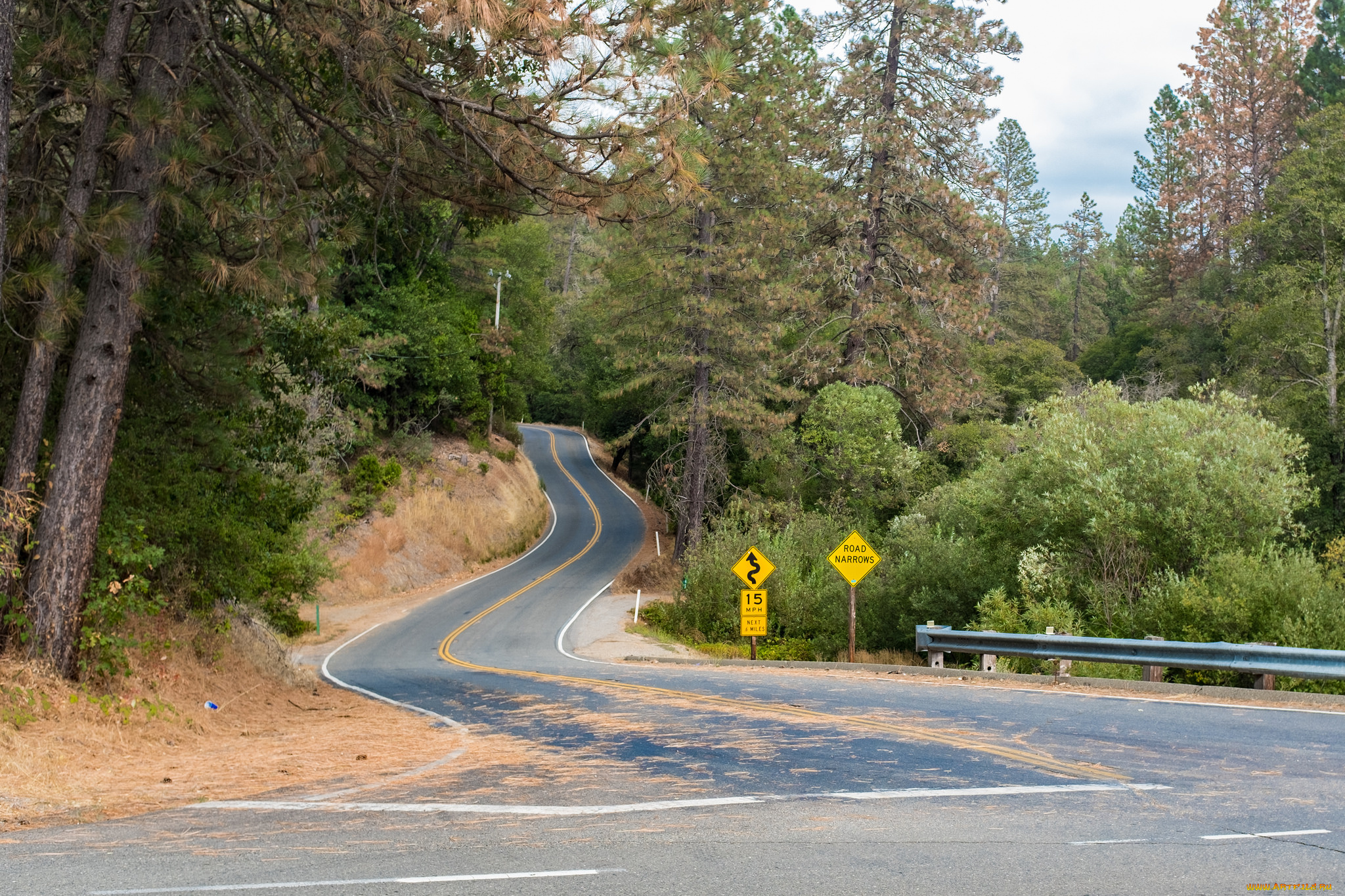 природа, дороги, простор