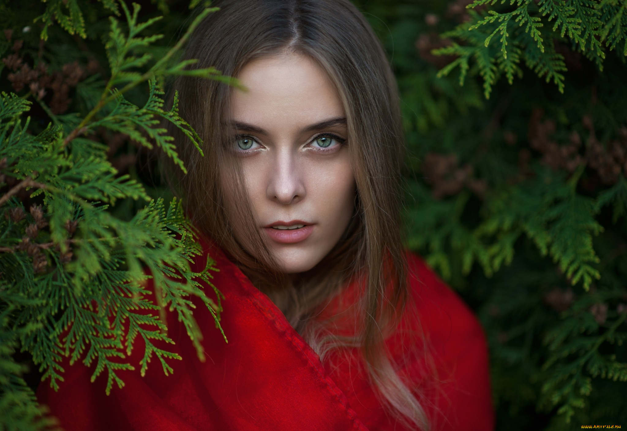 amina, katinova, девушки, amina, katinova, модель, девушка