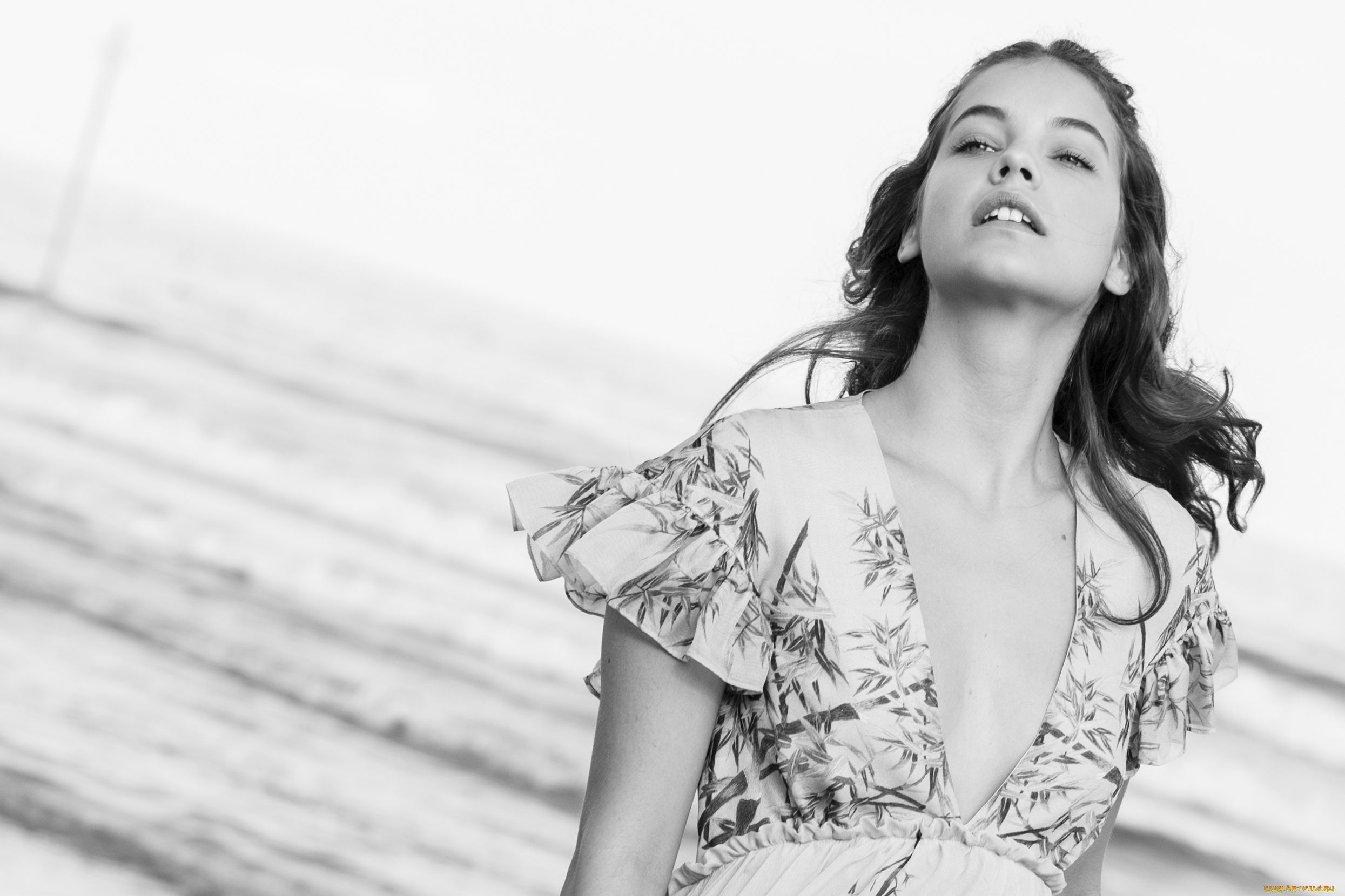 девушки, barbara, palvin, модель, декольте, море, черно-белая