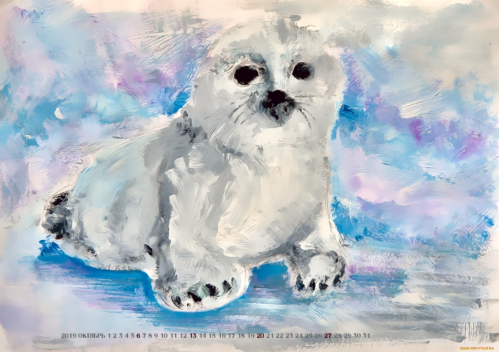 календари, рисованные, , векторная, графика, животное, морское, белый, котик, calendar, 2019