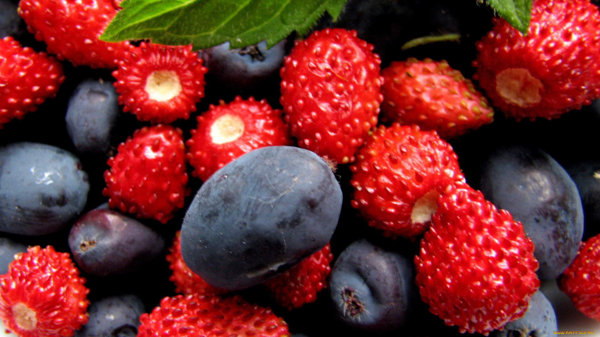 еда, фрукты, , ягоды, земляника, черника