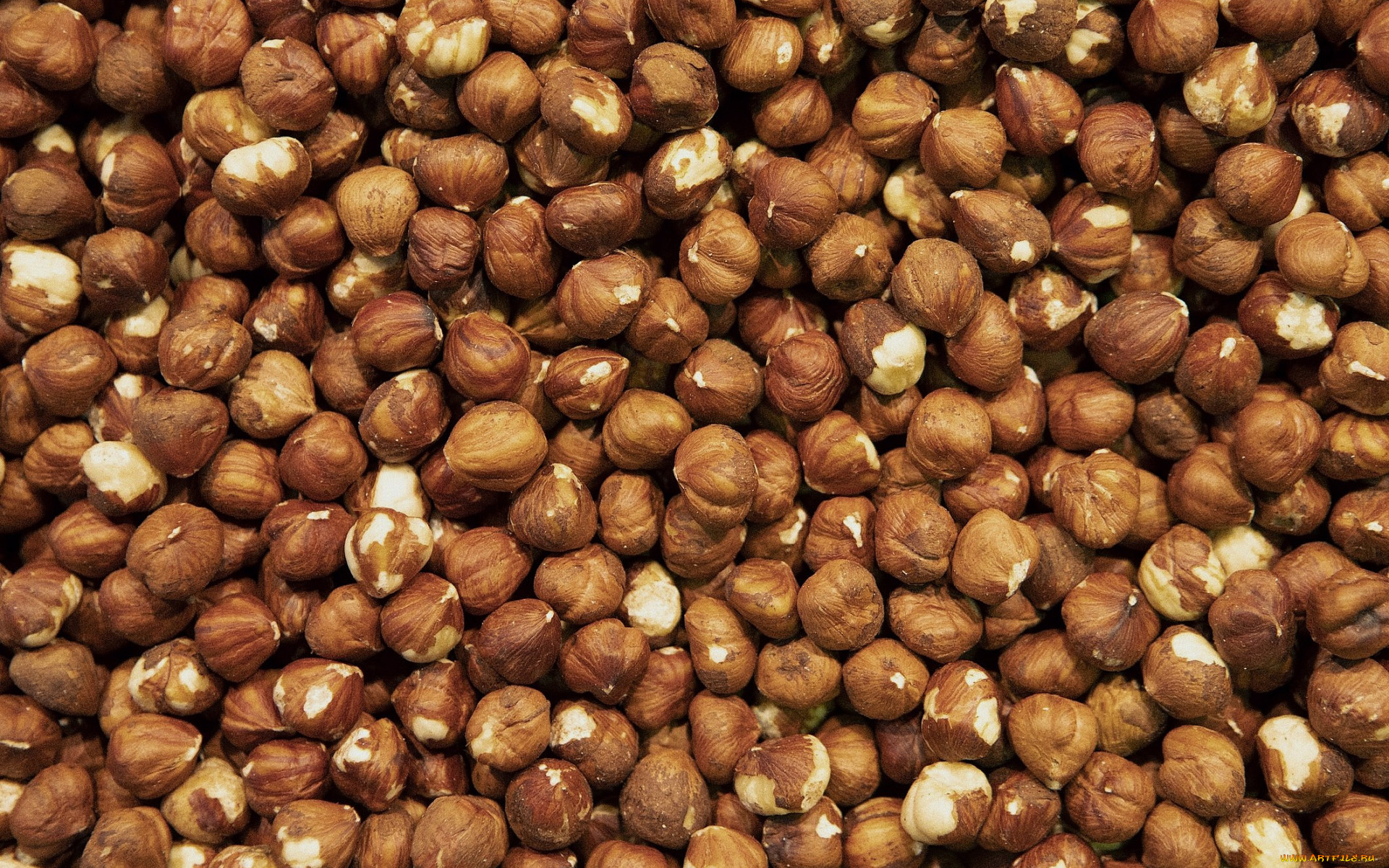 еда, орехи, , каштаны, , какао-бобы, фундук
