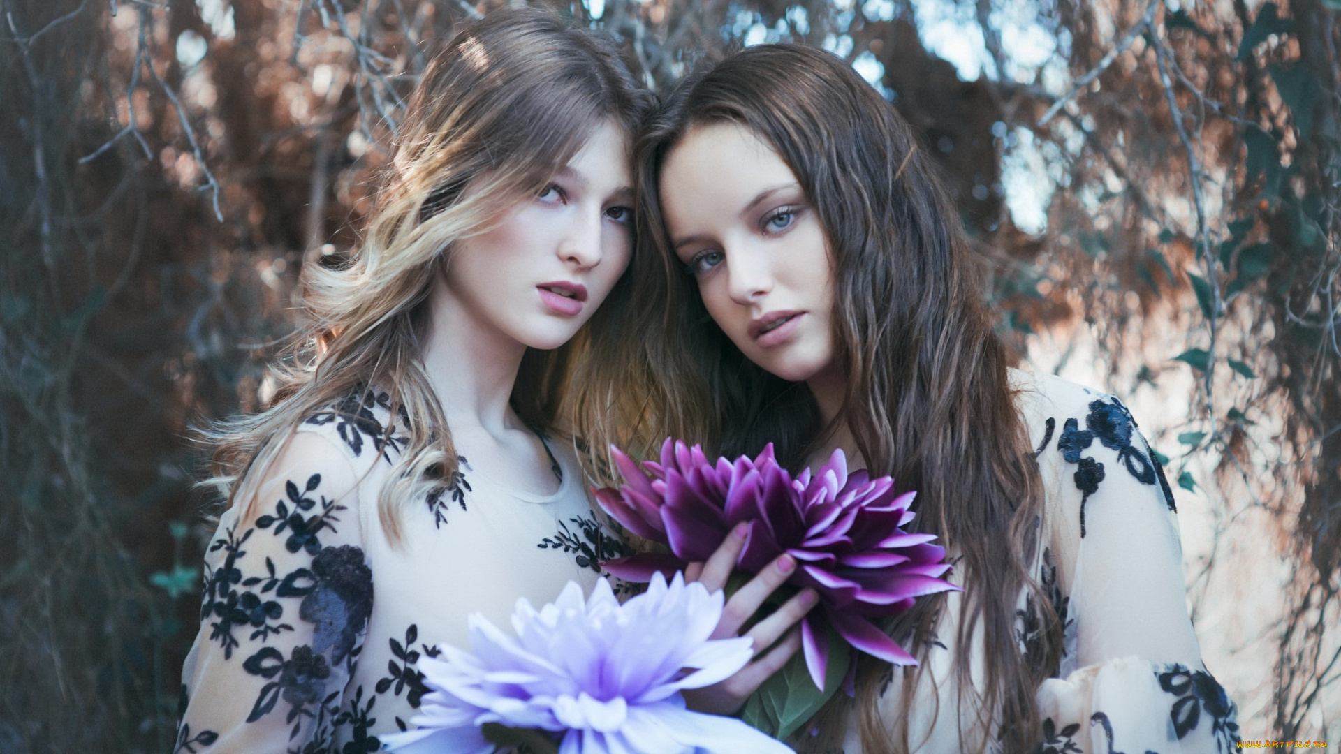 девушки, -, группа, девушек, дуэт