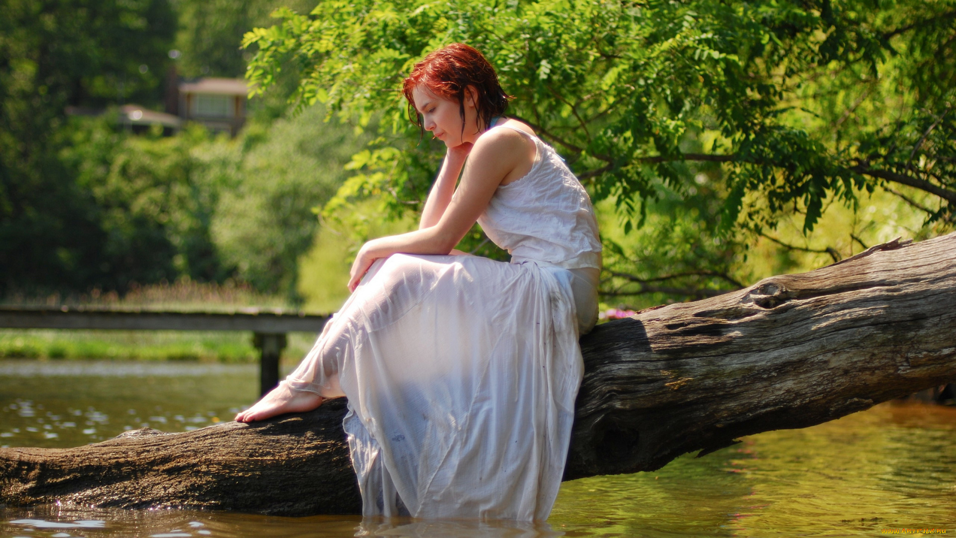 девушки, -, рыжеволосые, и, разноцветные, вода, дерево, мокрое, платье