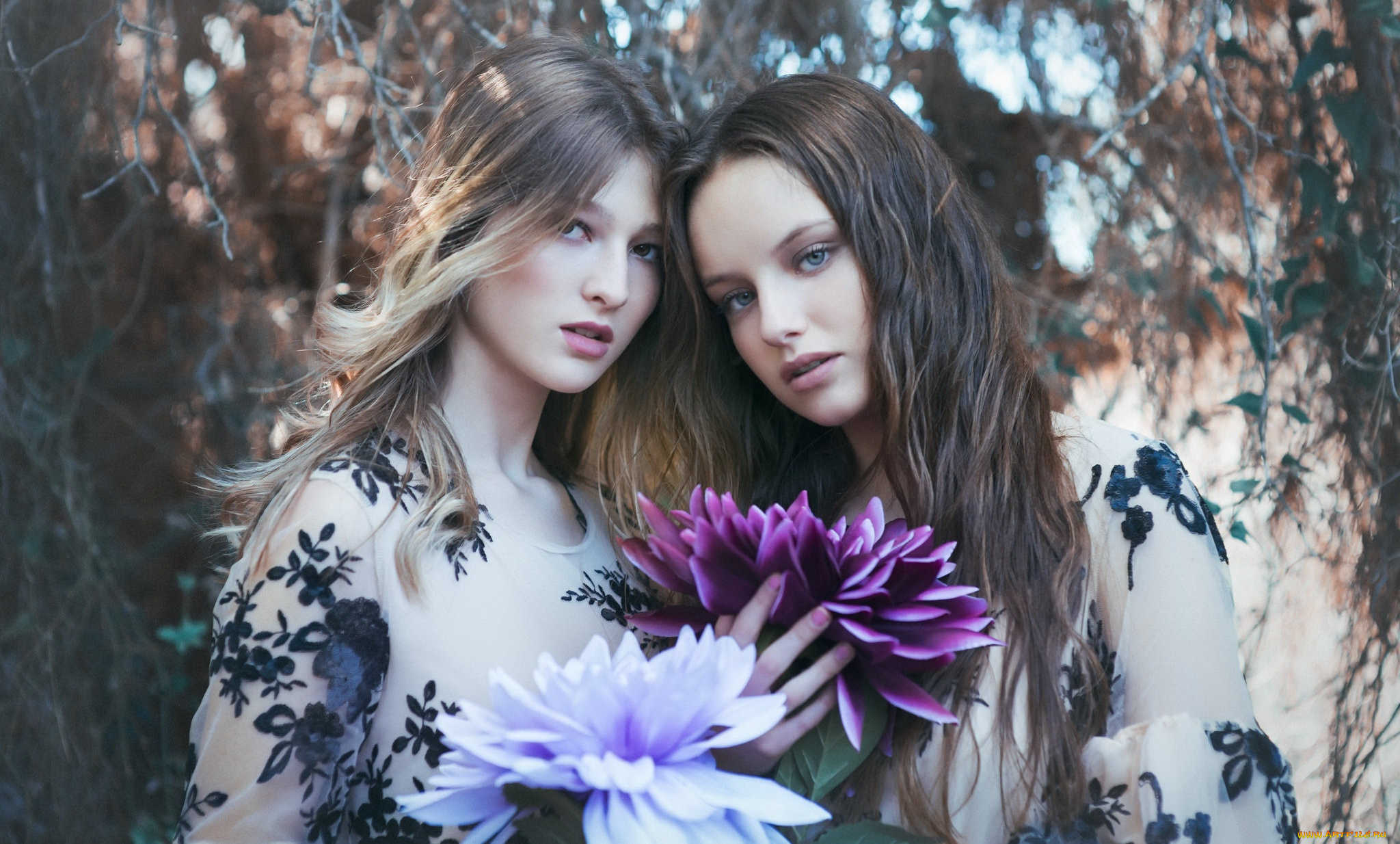 девушки, -, группа, девушек, дуэт