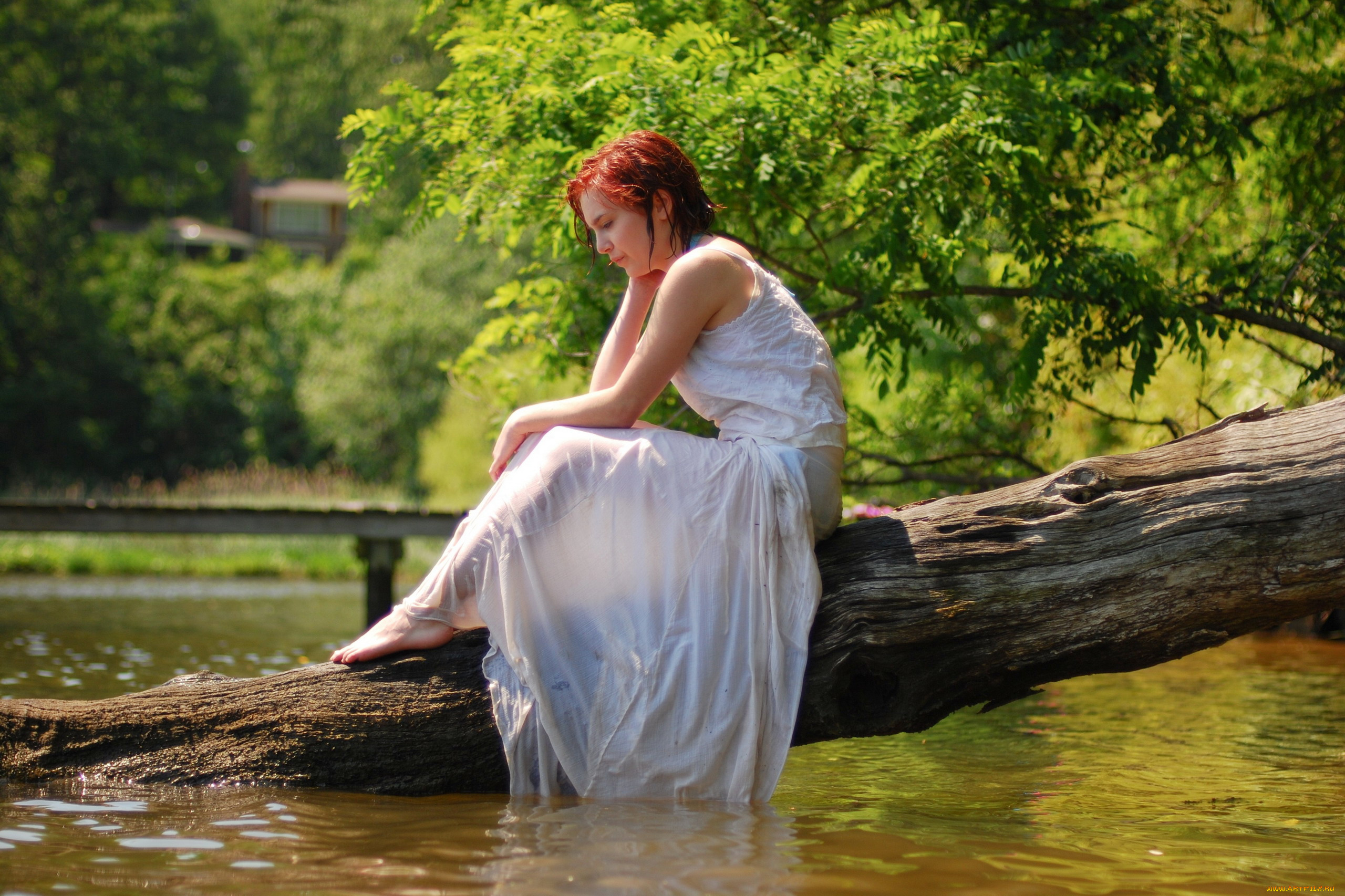 девушки, -, рыжеволосые, и, разноцветные, вода, дерево, мокрое, платье