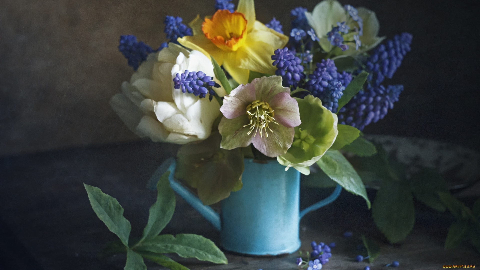 цветы, букеты, , композиции