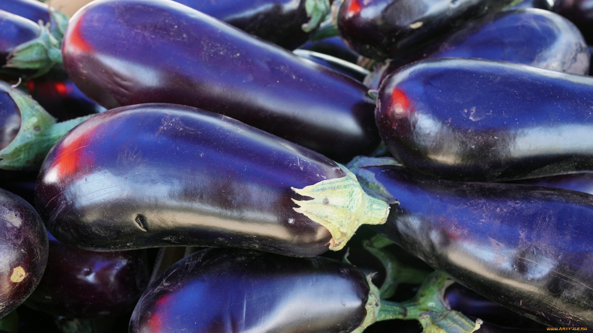 еда, баклажаны, овощи, макро, урожай