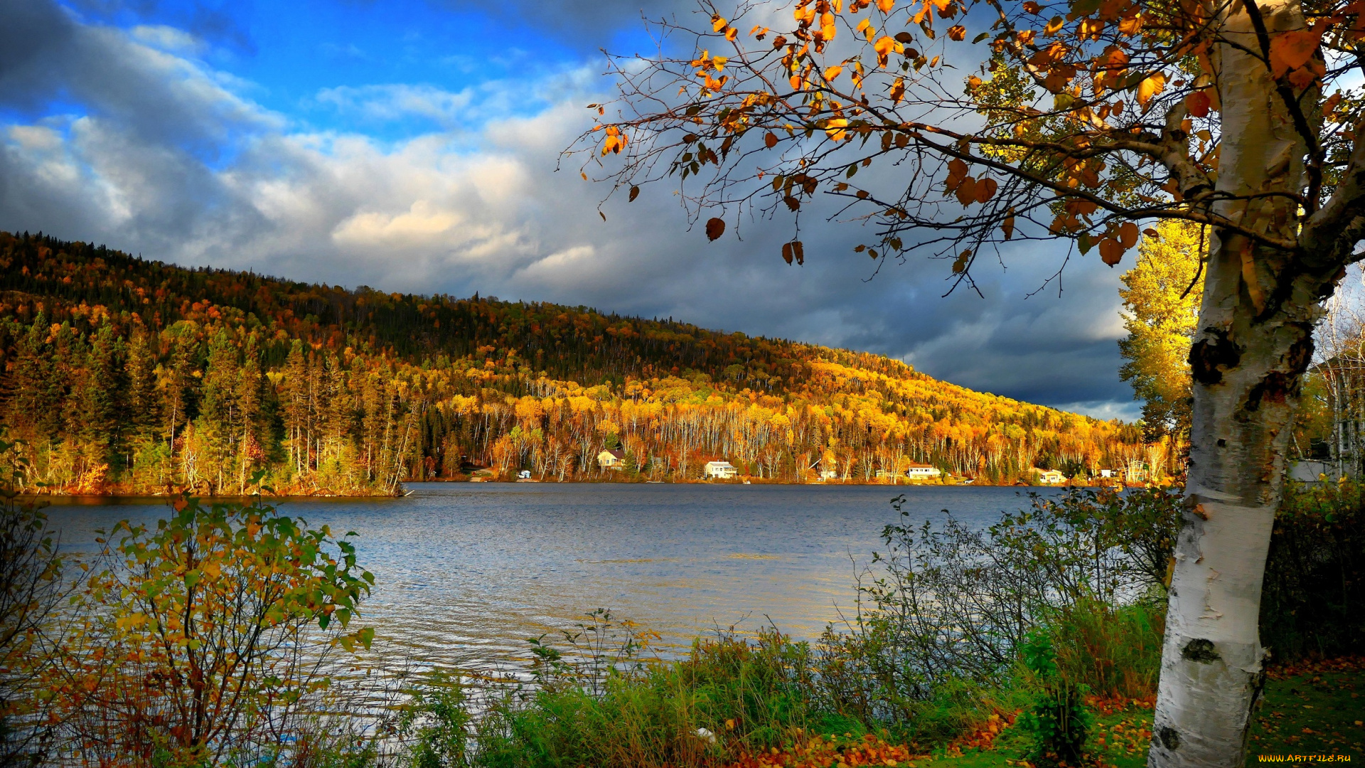 природа, реки, озера, горы, лес, осень, дома, река, береза, тучи