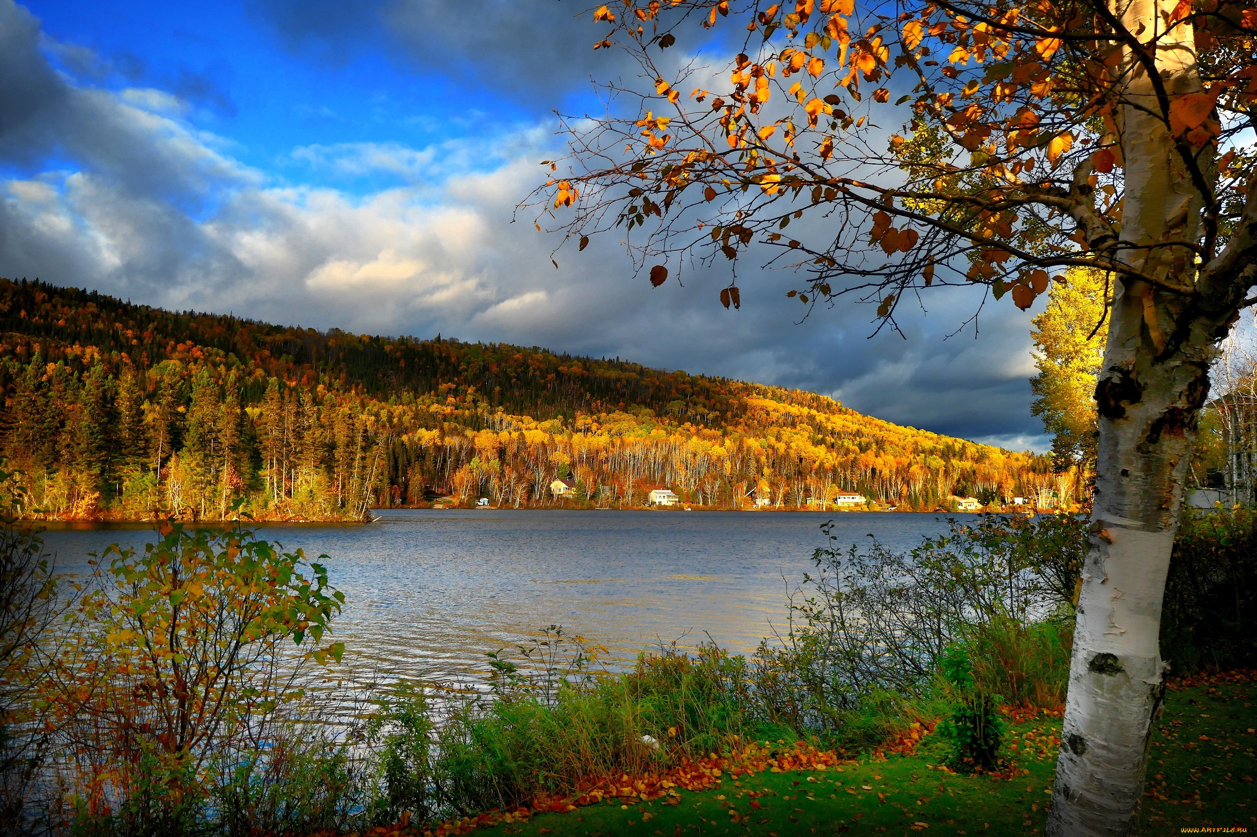 природа, реки, озера, горы, лес, осень, дома, река, береза, тучи