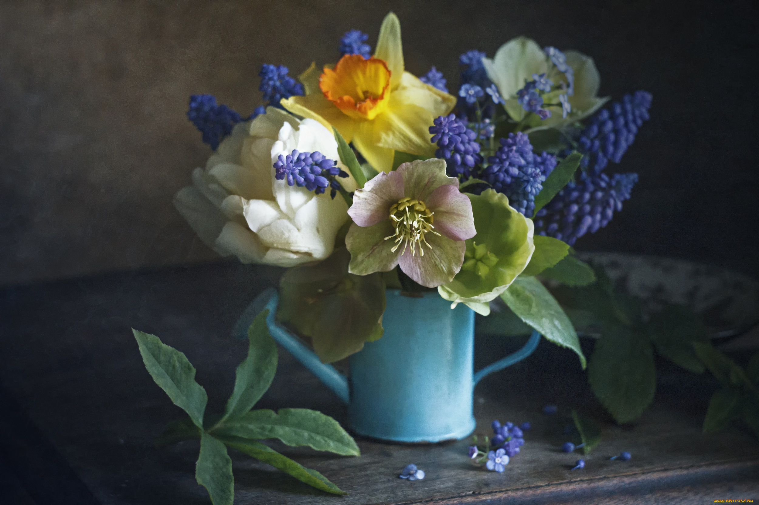 цветы, букеты, , композиции