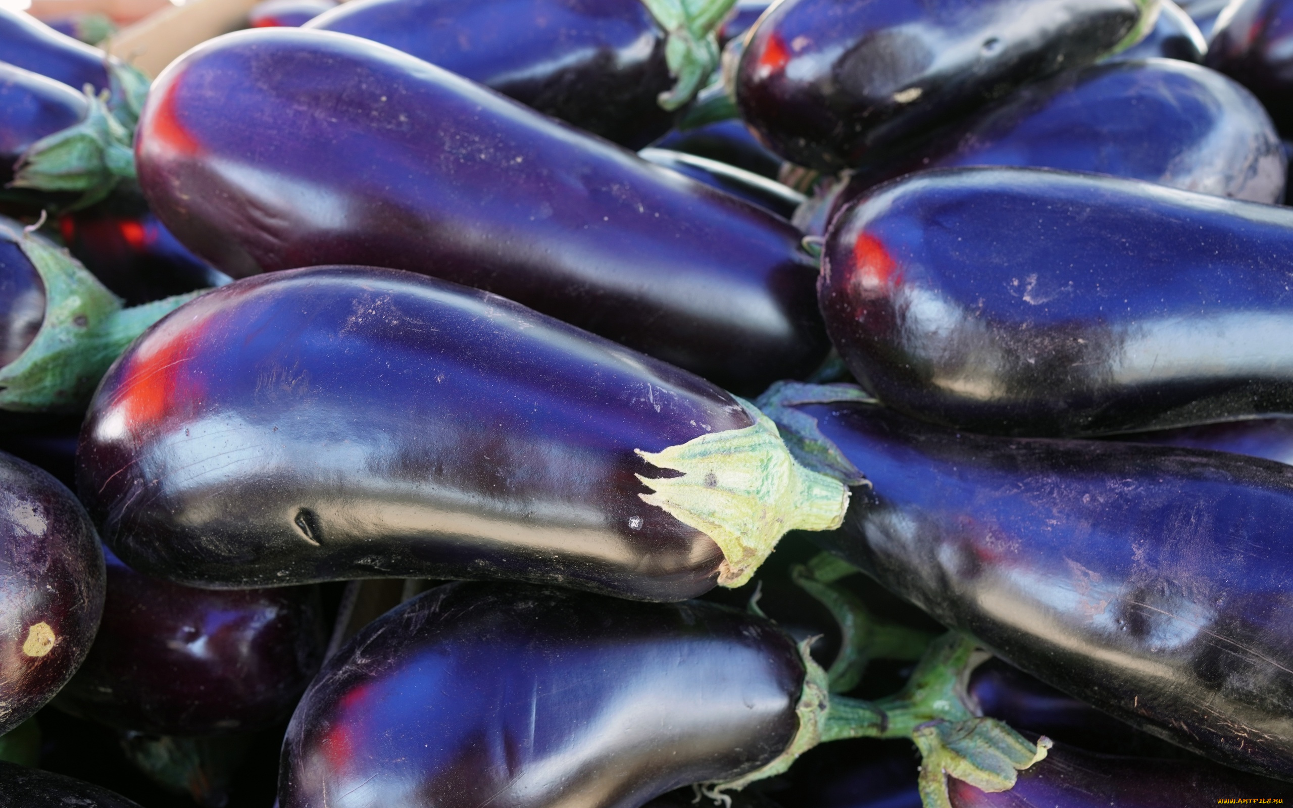 еда, баклажаны, овощи, макро, урожай