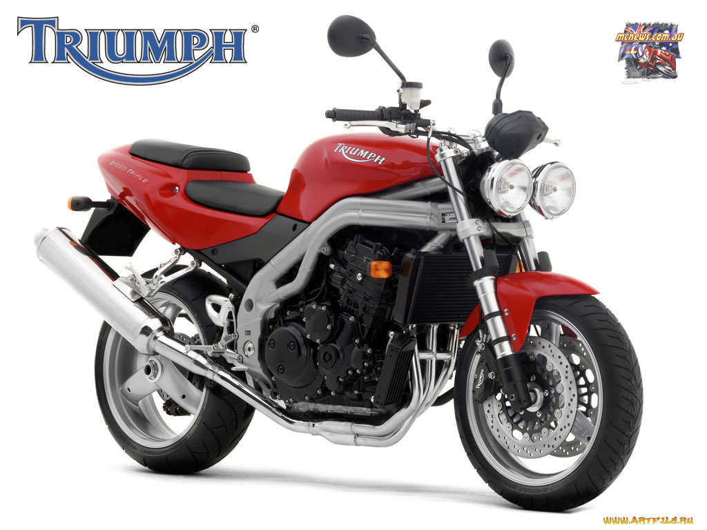 мотоциклы, triumph