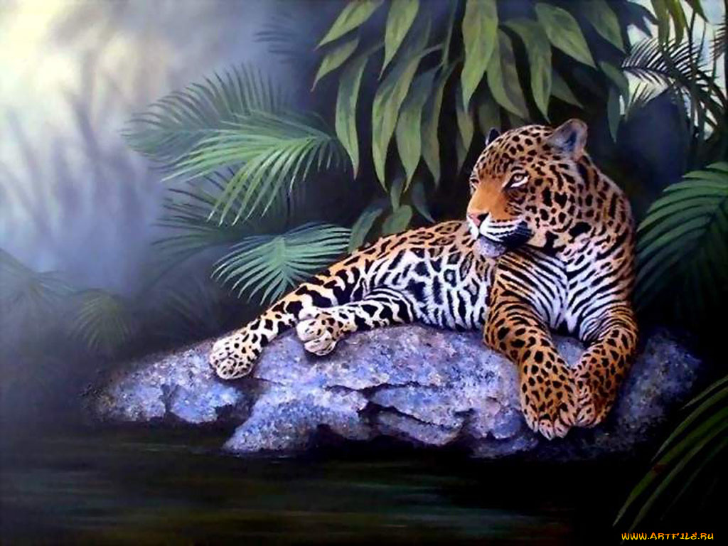 рисованные, животные, ягуары, леопарды