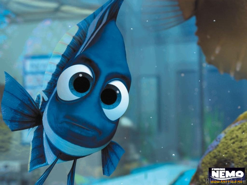 мультфильмы, finding, nemo