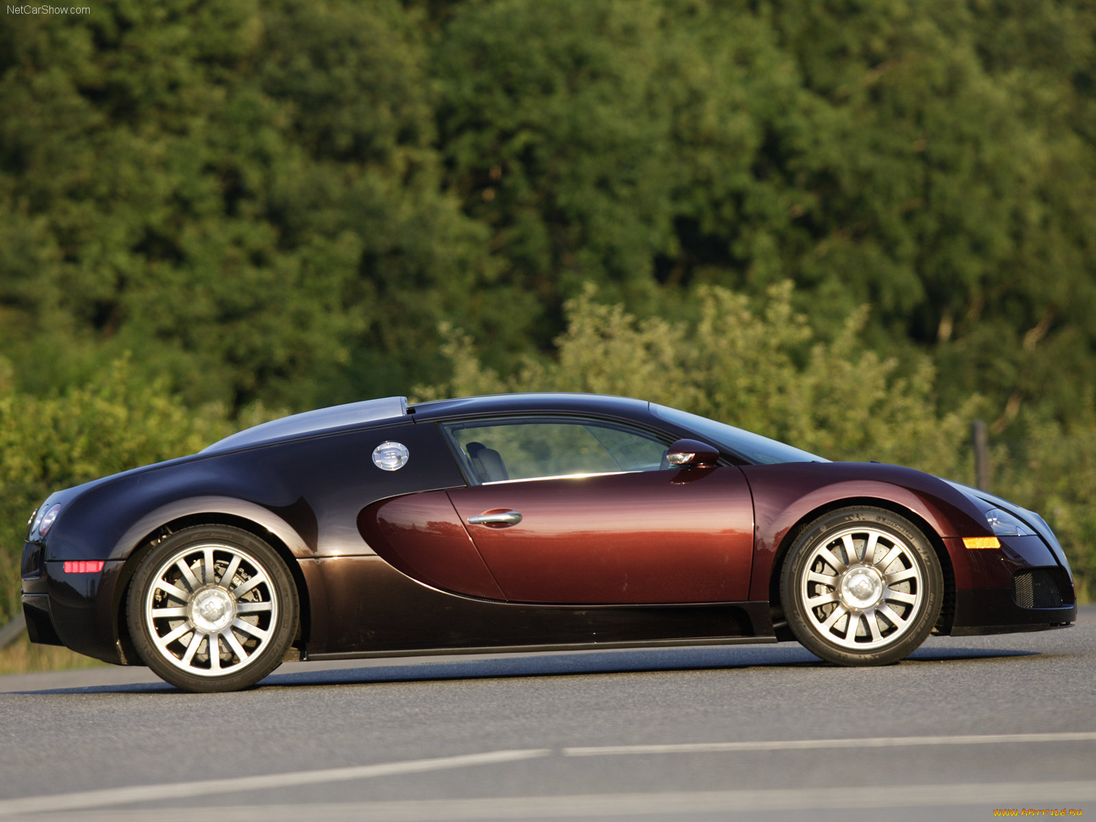 bugatti, veyron, 2005, автомобили
