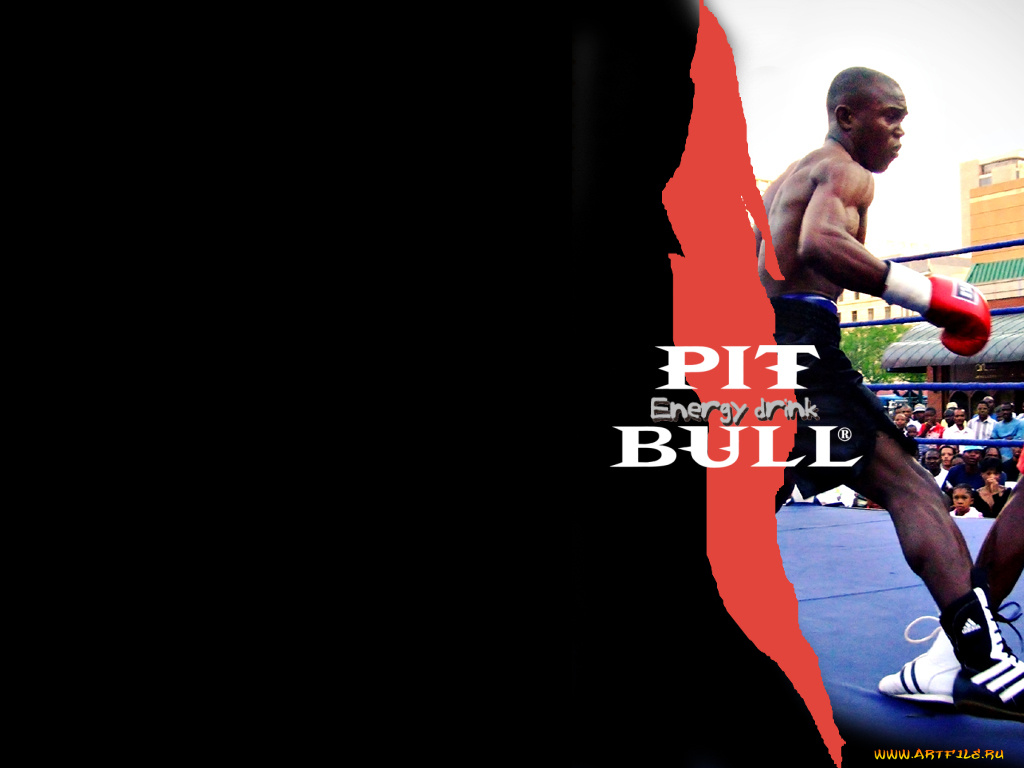 бренды, pitbull