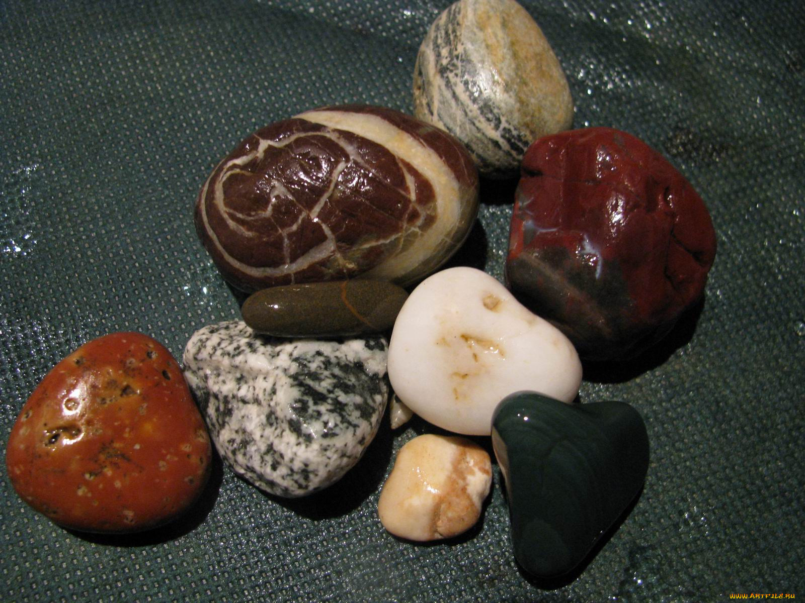 разное, ракушки, кораллы, декоративные, spa, камни