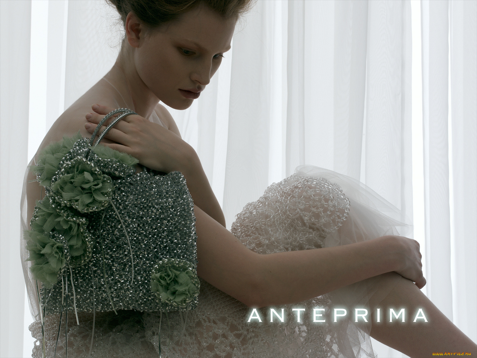 anteprima, бренды