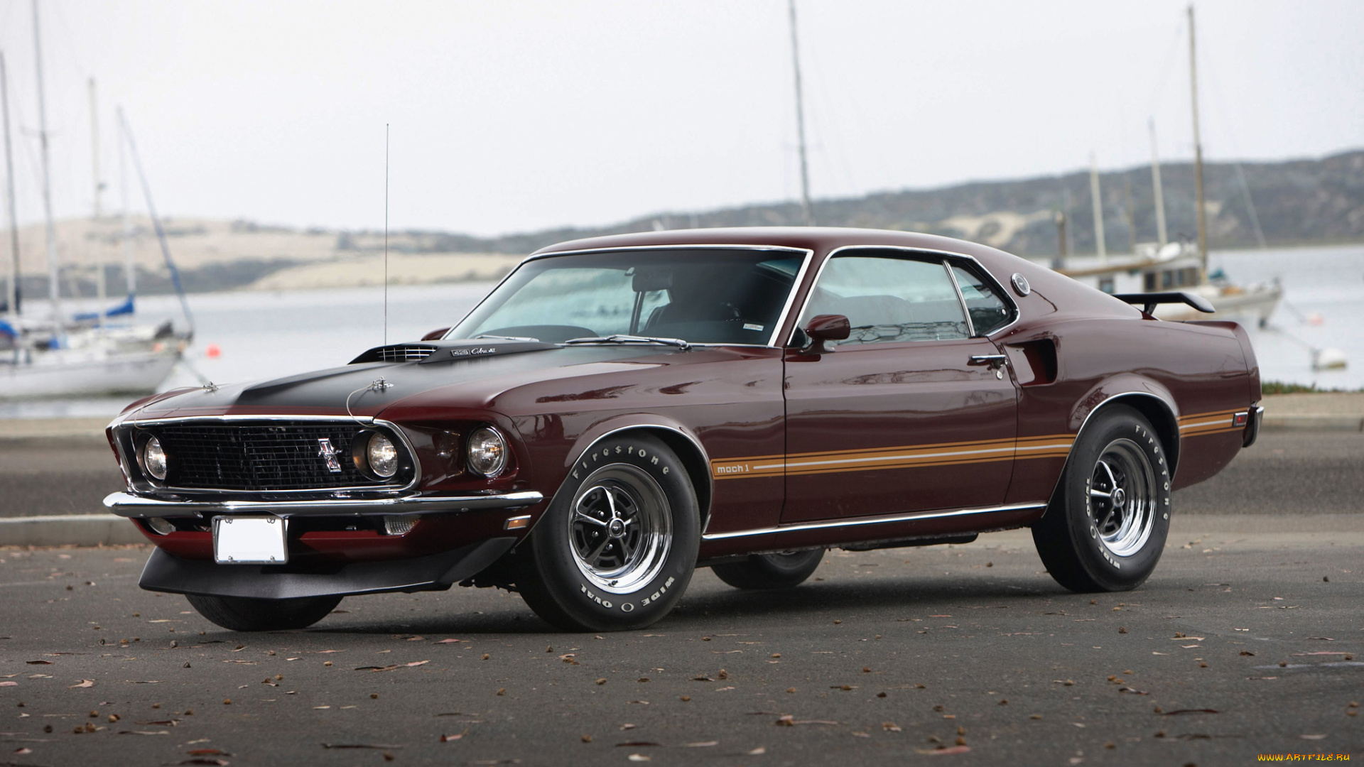 автомобили, mustang