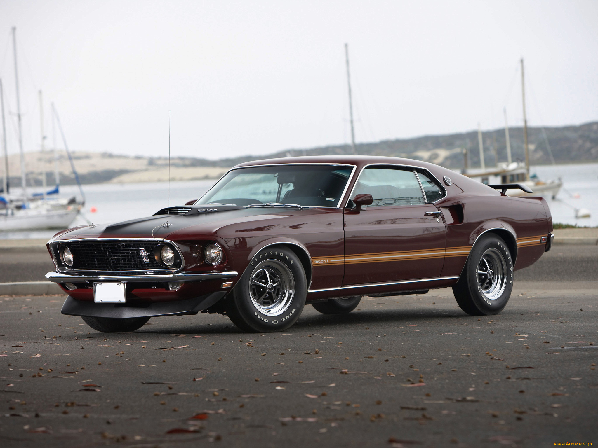 автомобили, mustang