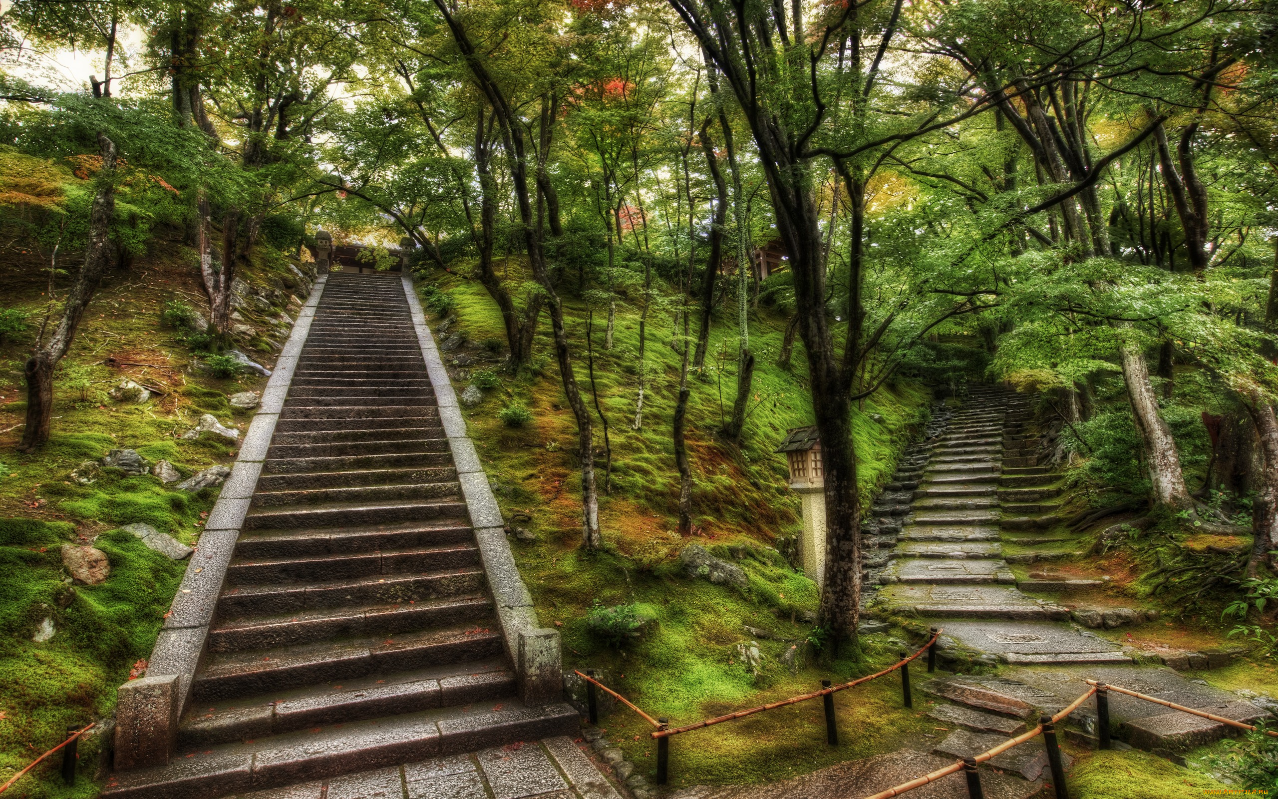 природа, парк