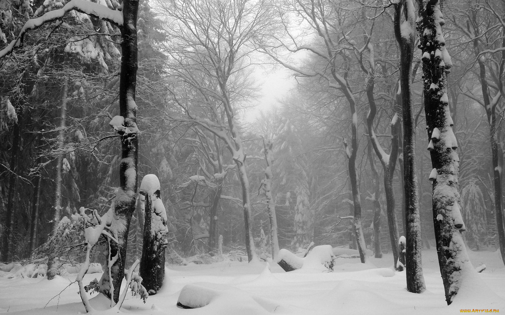 природа, зима