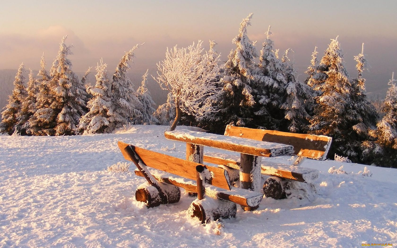 природа, зима