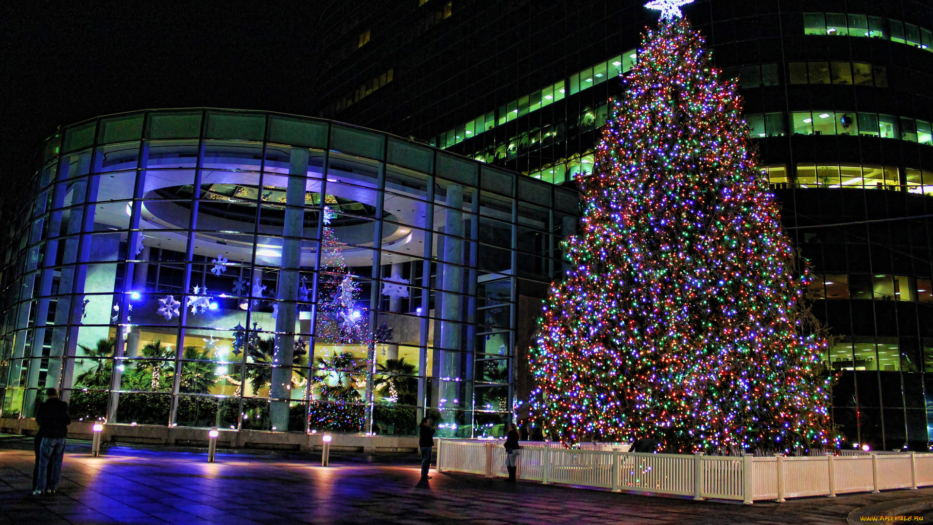 праздничные, Ёлки