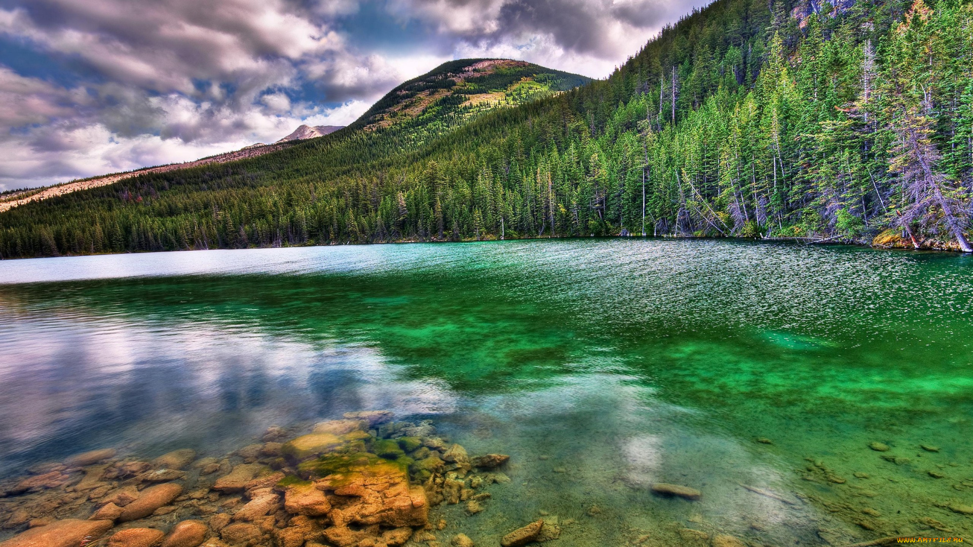 природа, реки, озера