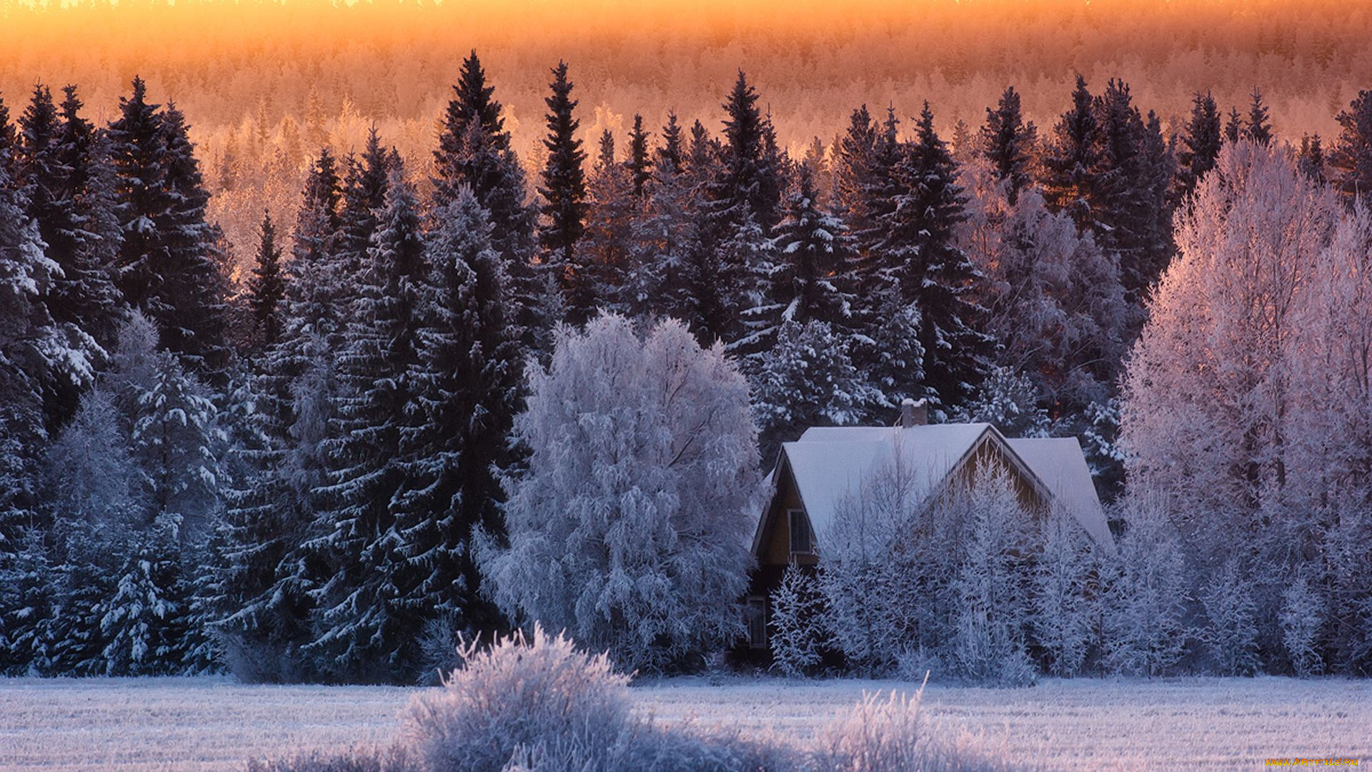 природа, зима