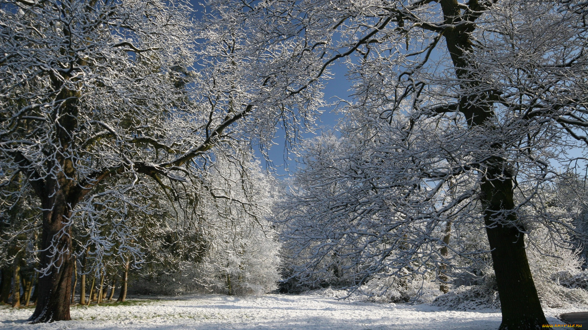 природа, зима