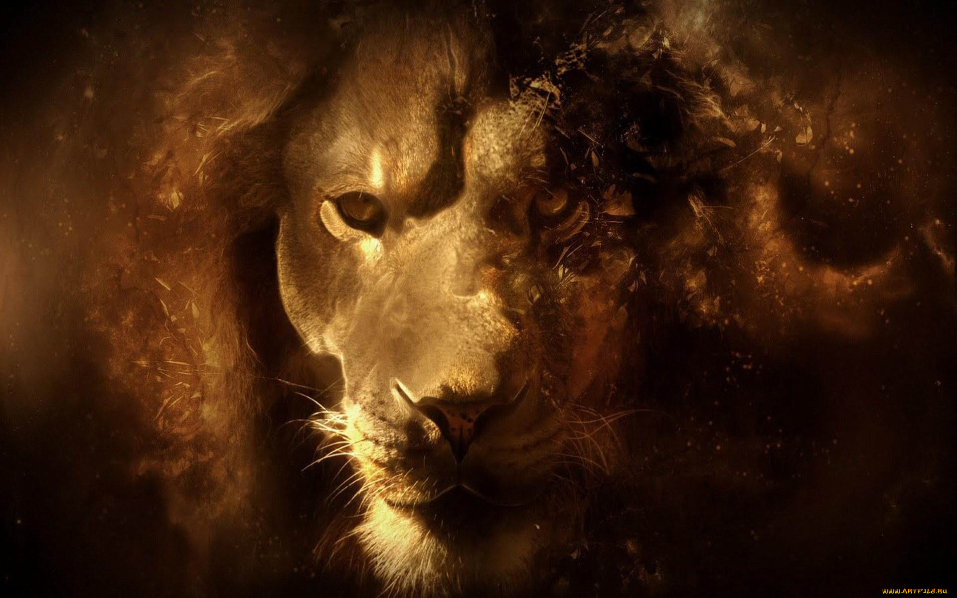 3д, графика, animals, животные