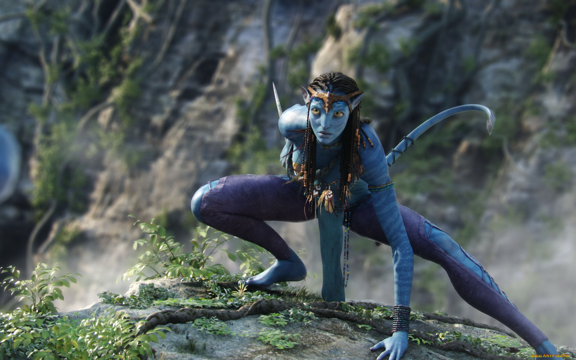 кино, фильмы, avatar