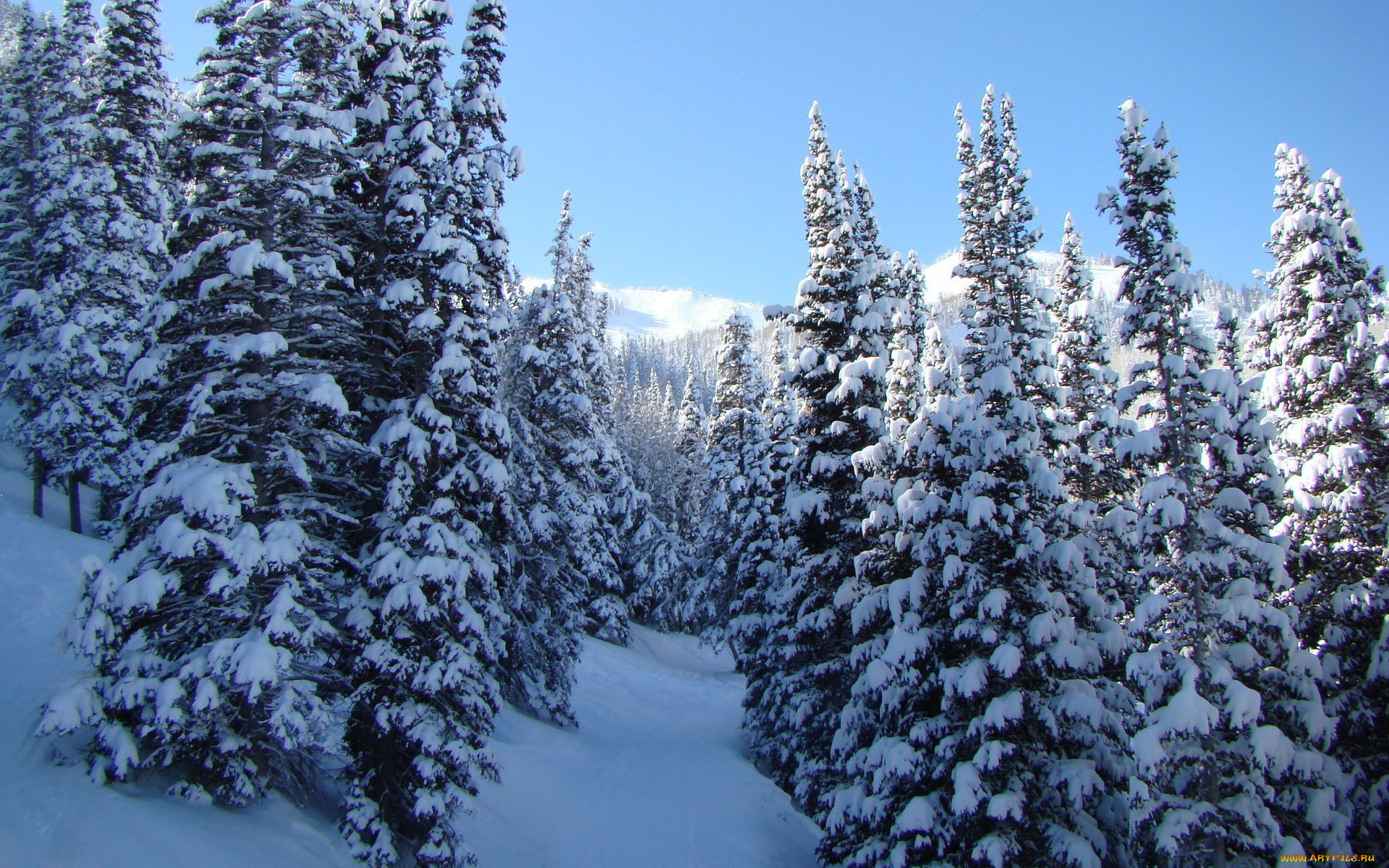 природа, зима