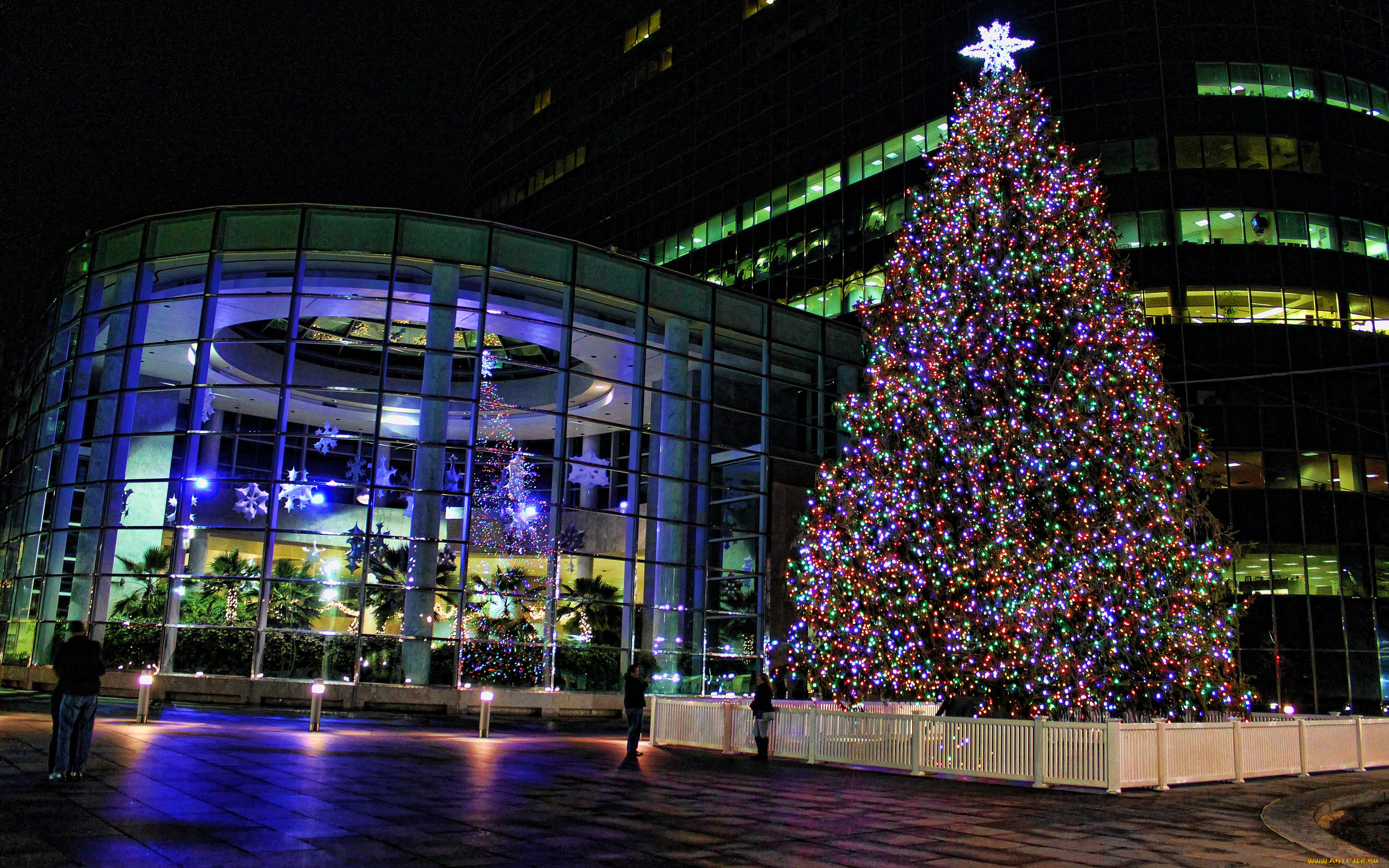 праздничные, Ёлки