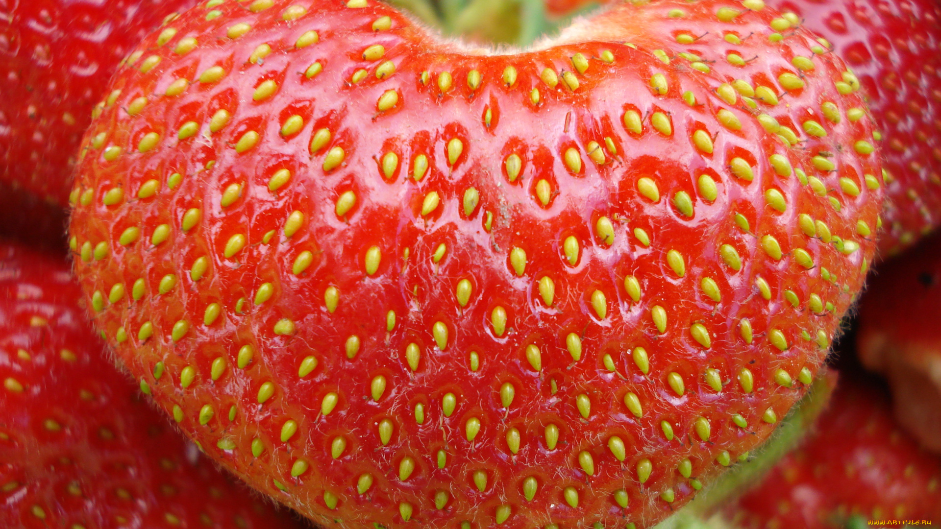 еда, клубника, земляника, ягоды