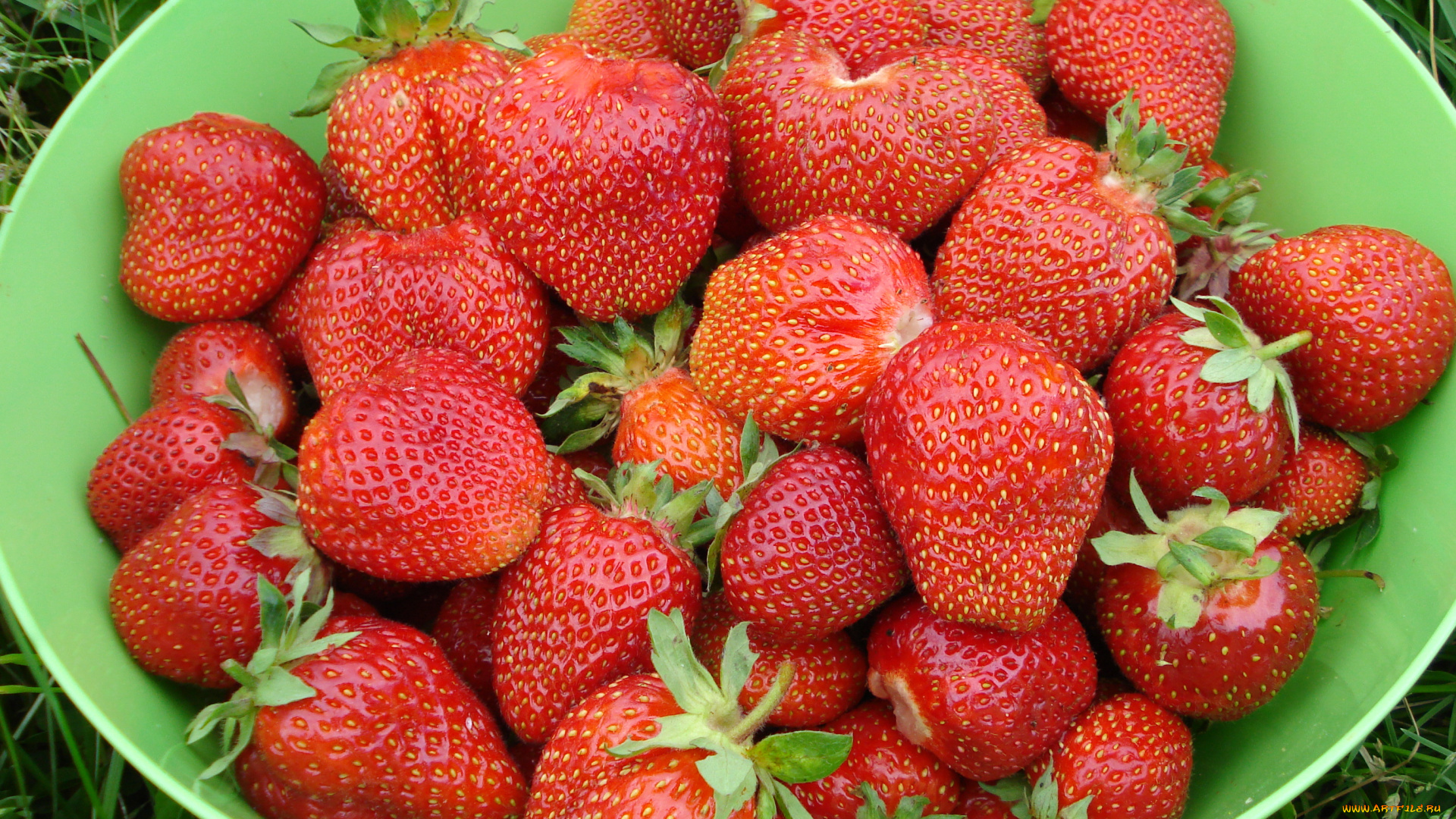 еда, клубника, земляника, ягоды, миска