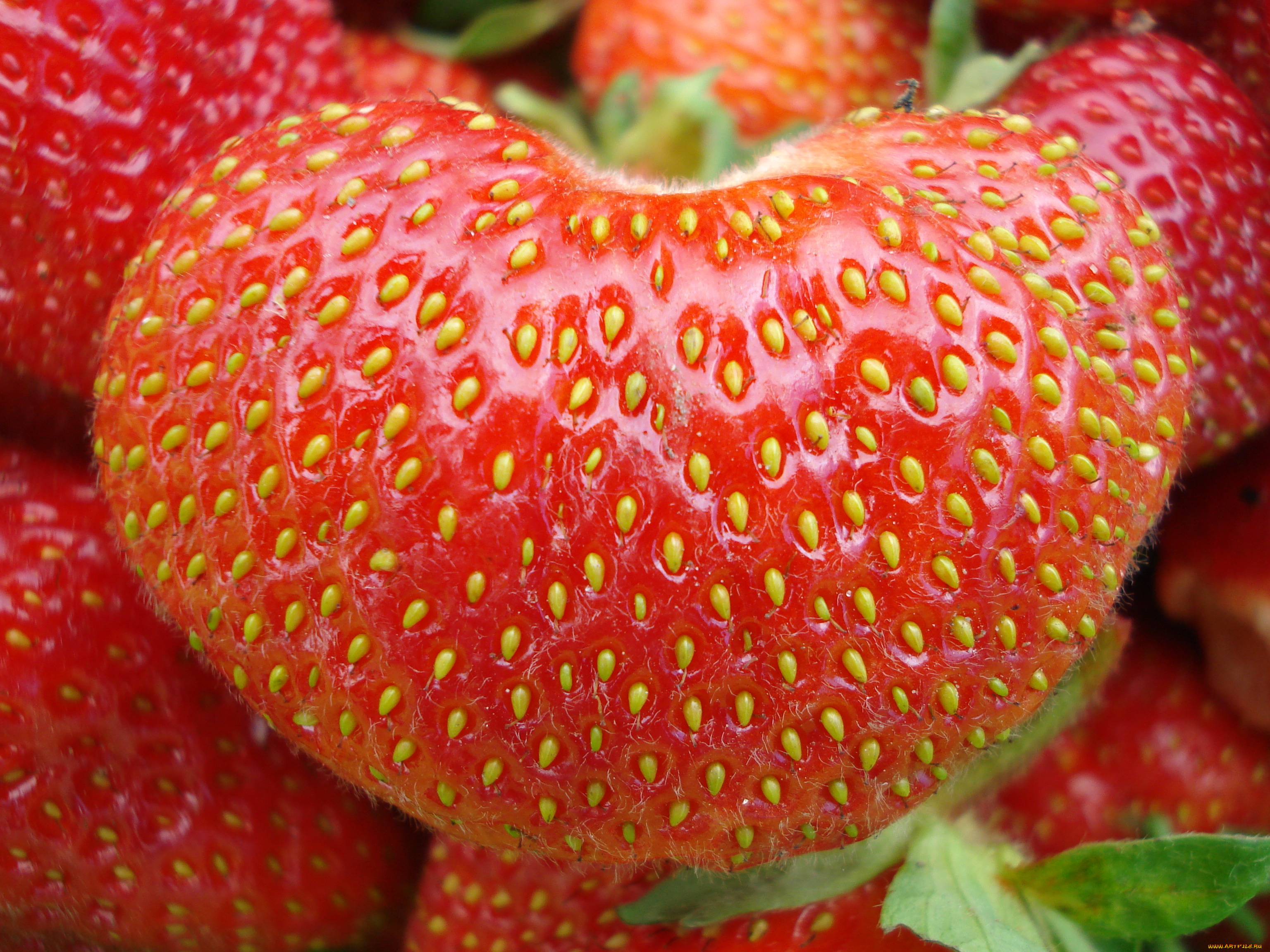 еда, клубника, земляника, ягоды