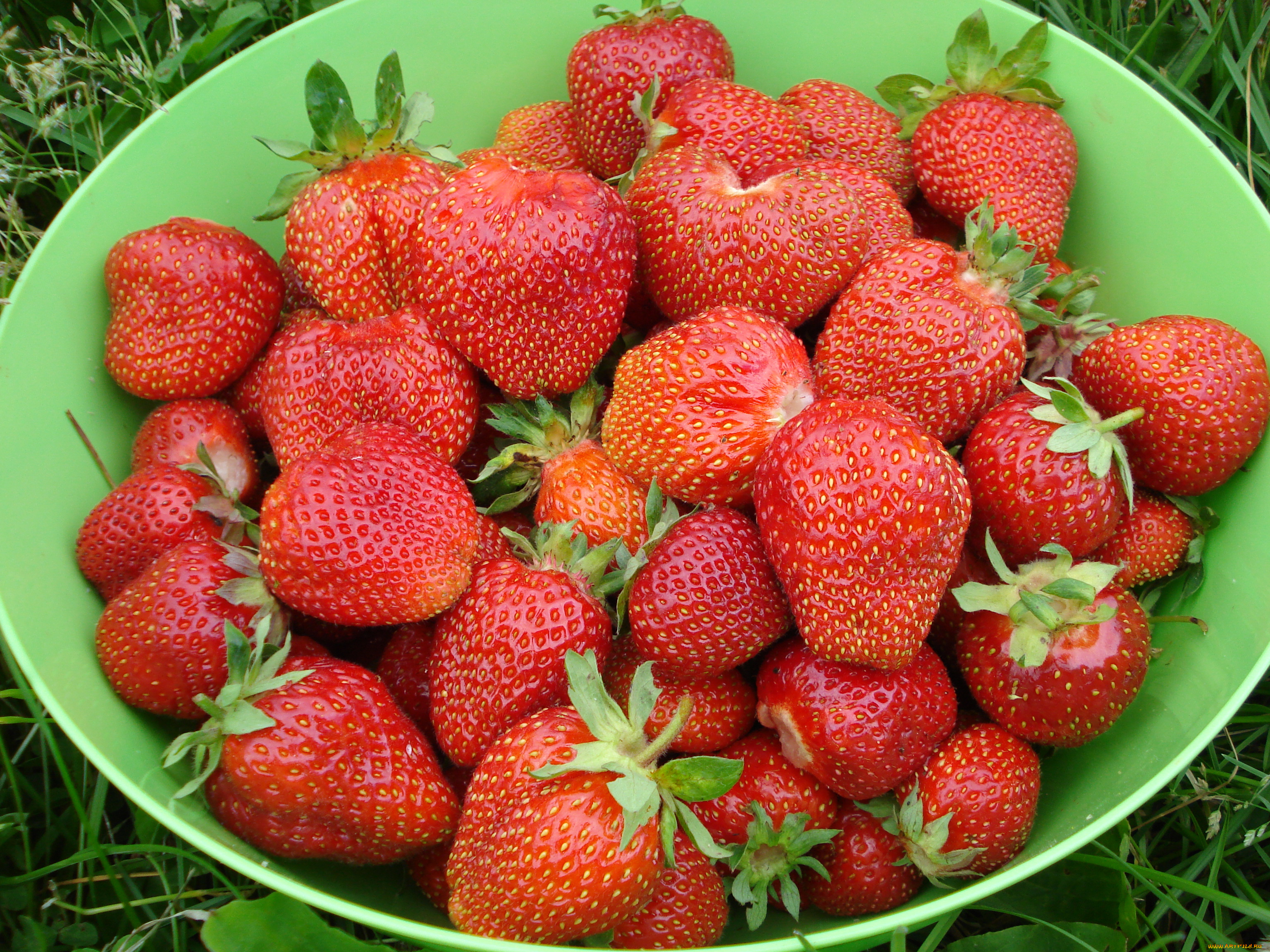 еда, клубника, земляника, ягоды, миска