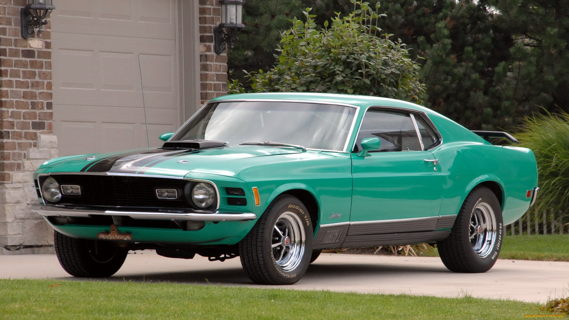 mustang, автомобили, мощь, скорость, стиль, автомобиль