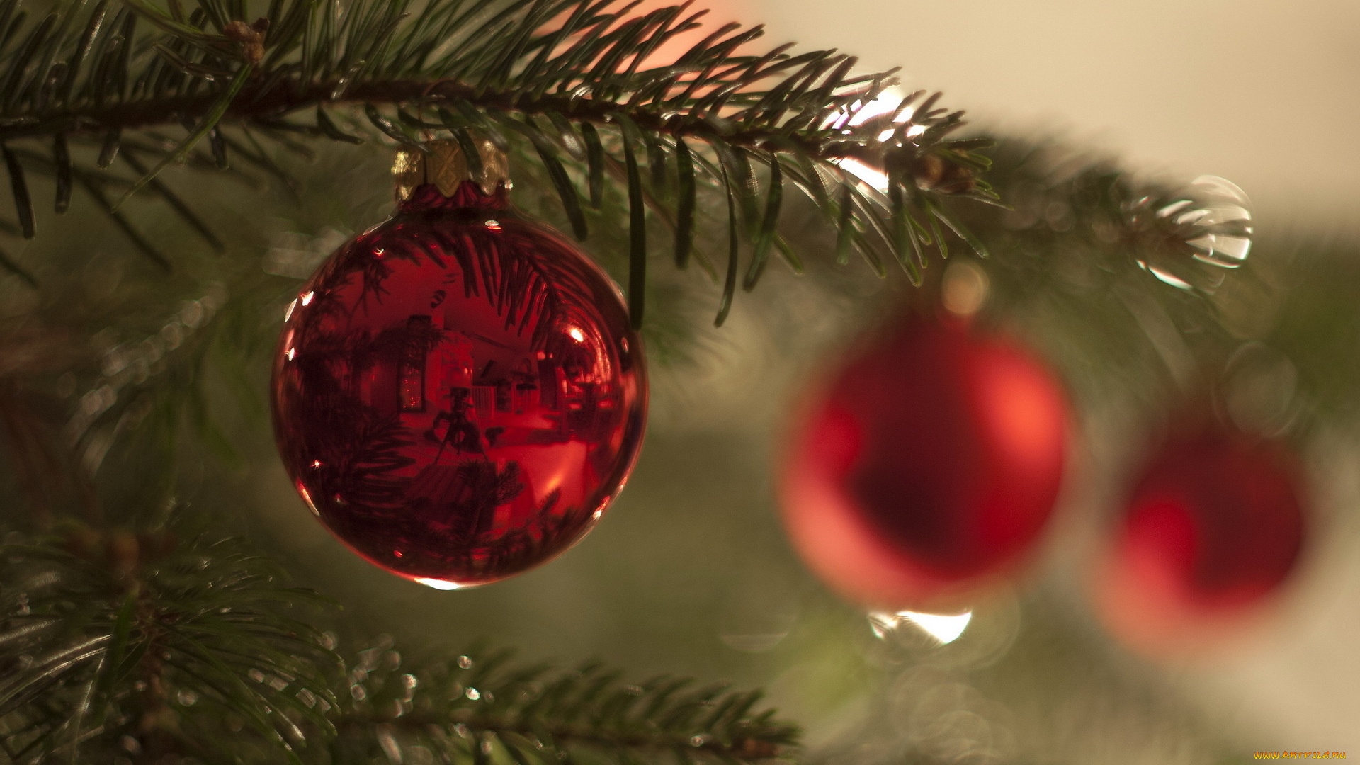 праздничные, шарики, ёлка