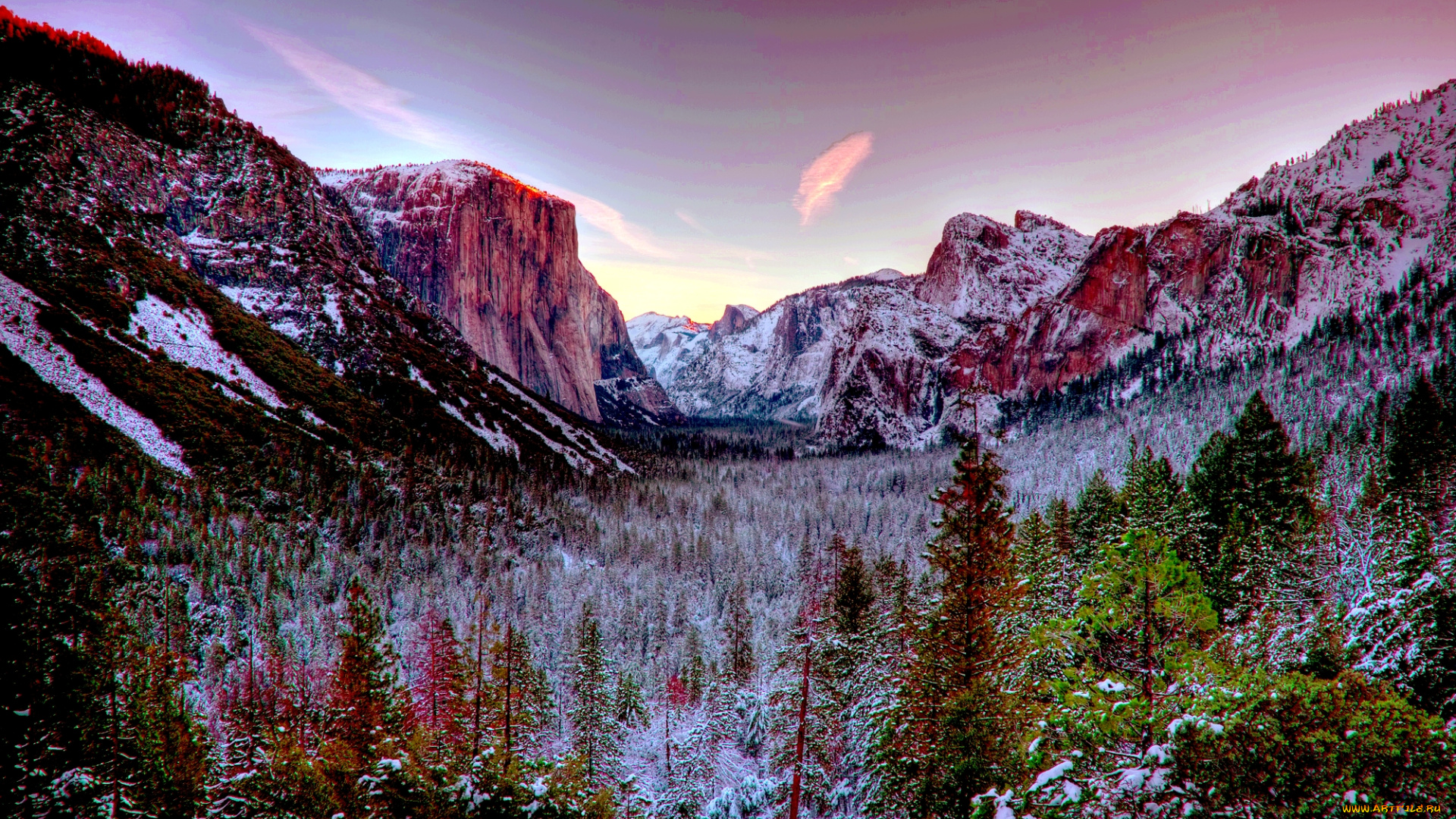 природа, горы, облака, краски, ущелье, лес