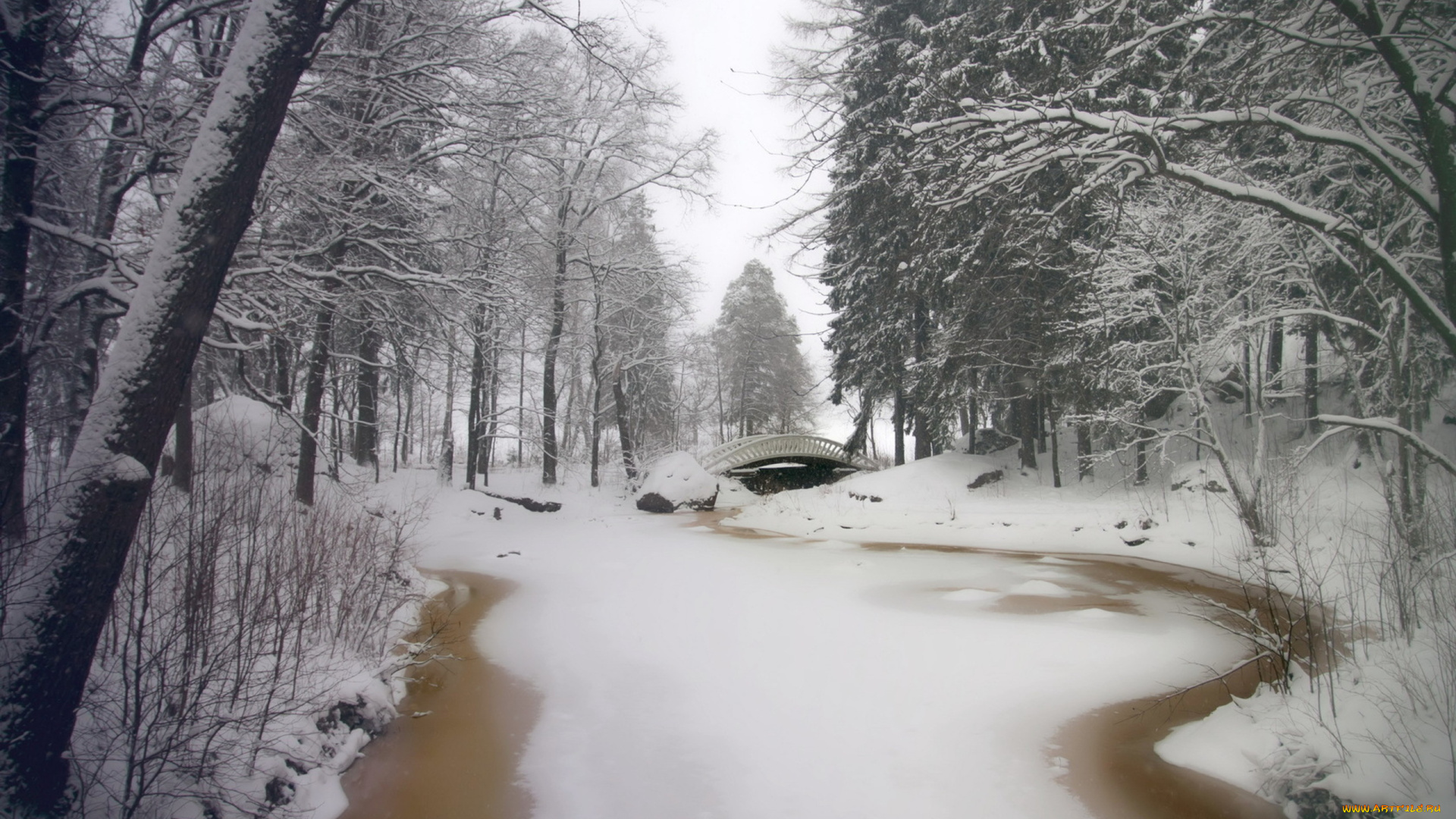 природа, зима, лес, река, мостик