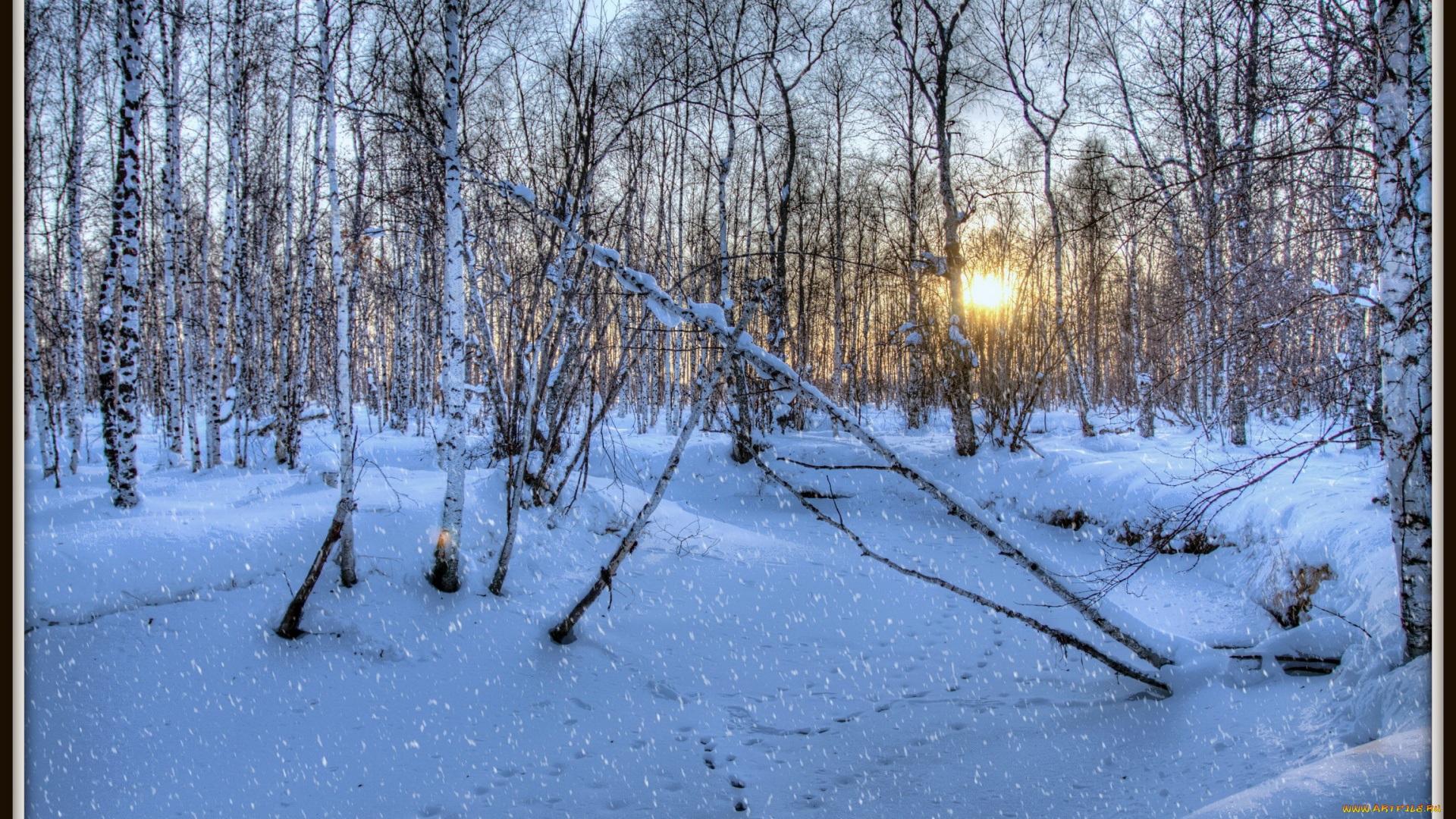 природа, зима, лес, снег