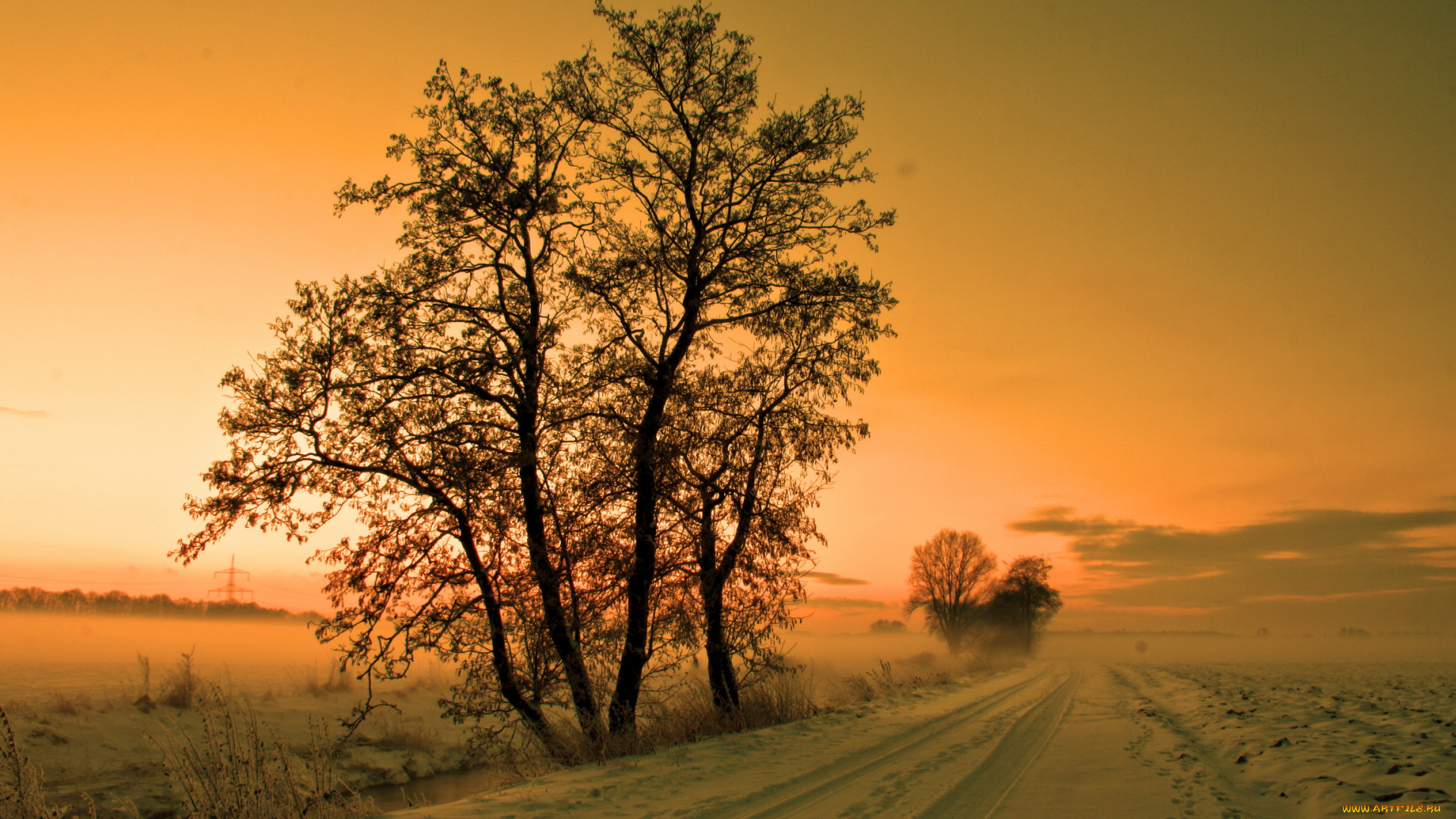 природа, зима, снег