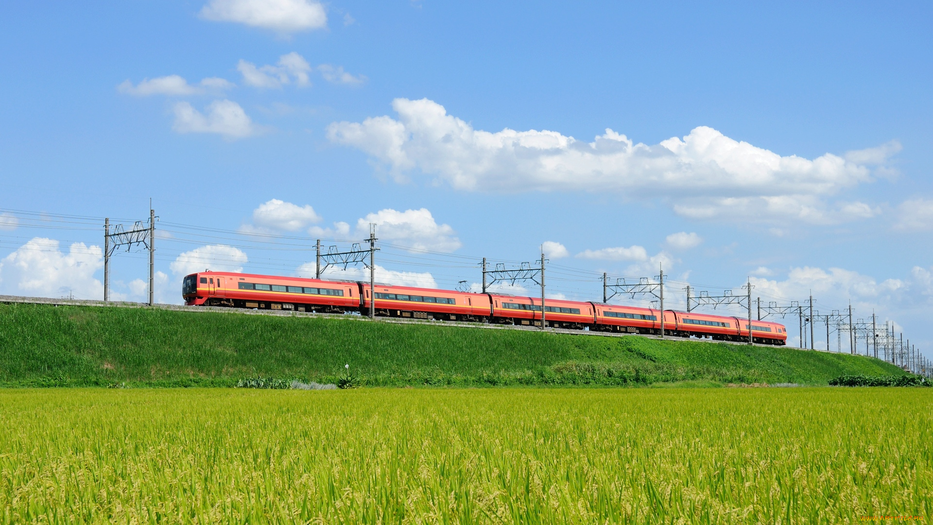 техника, поезда, поле, поезд