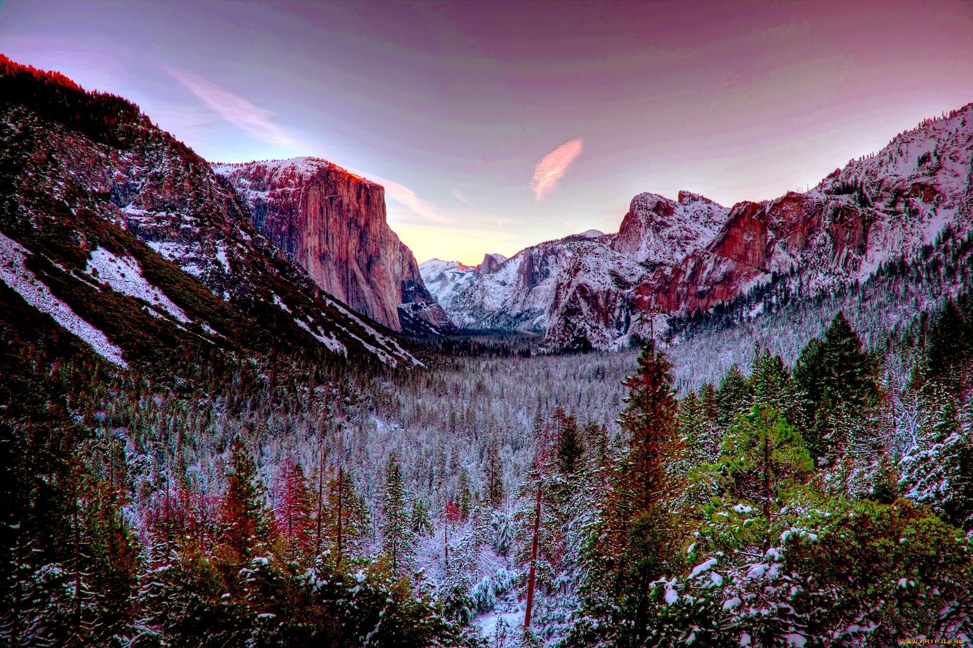 природа, горы, облака, краски, ущелье, лес